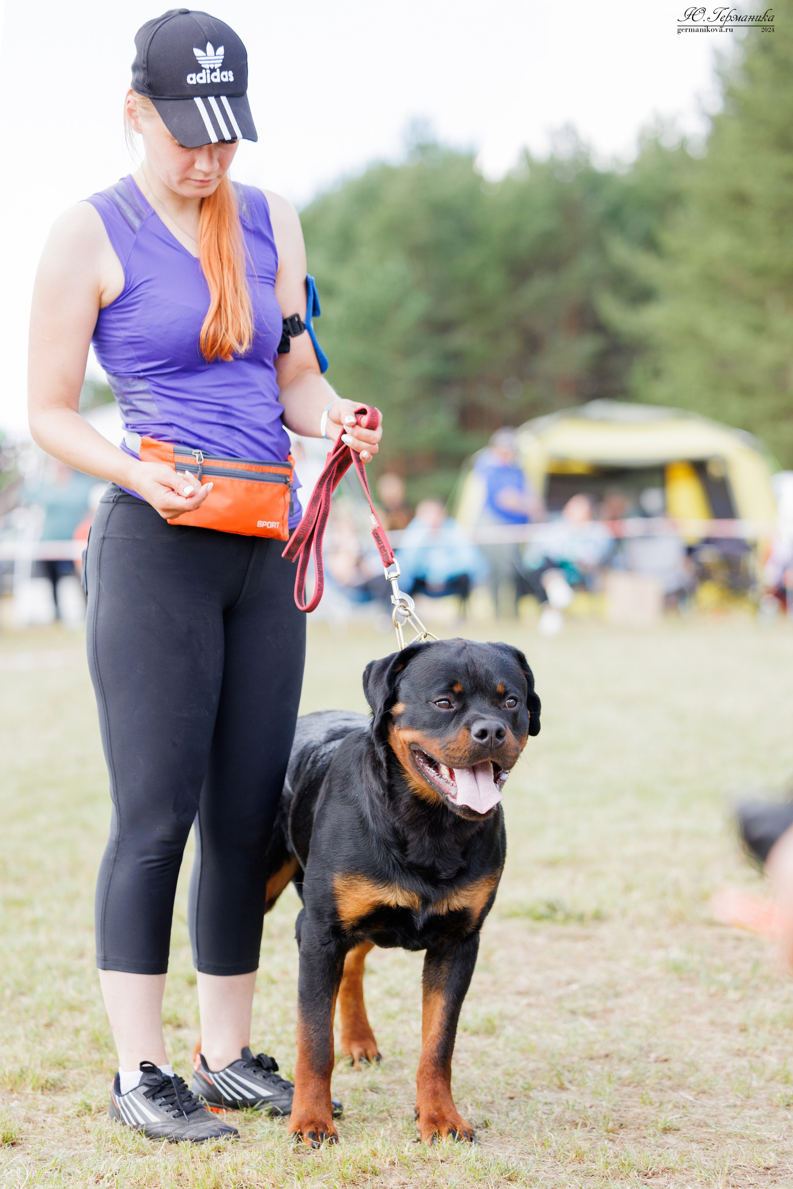 ПК и КЧК ротвейлеры Тверь 6-7.07.2024. Фотограф-анималист Юлия Германика