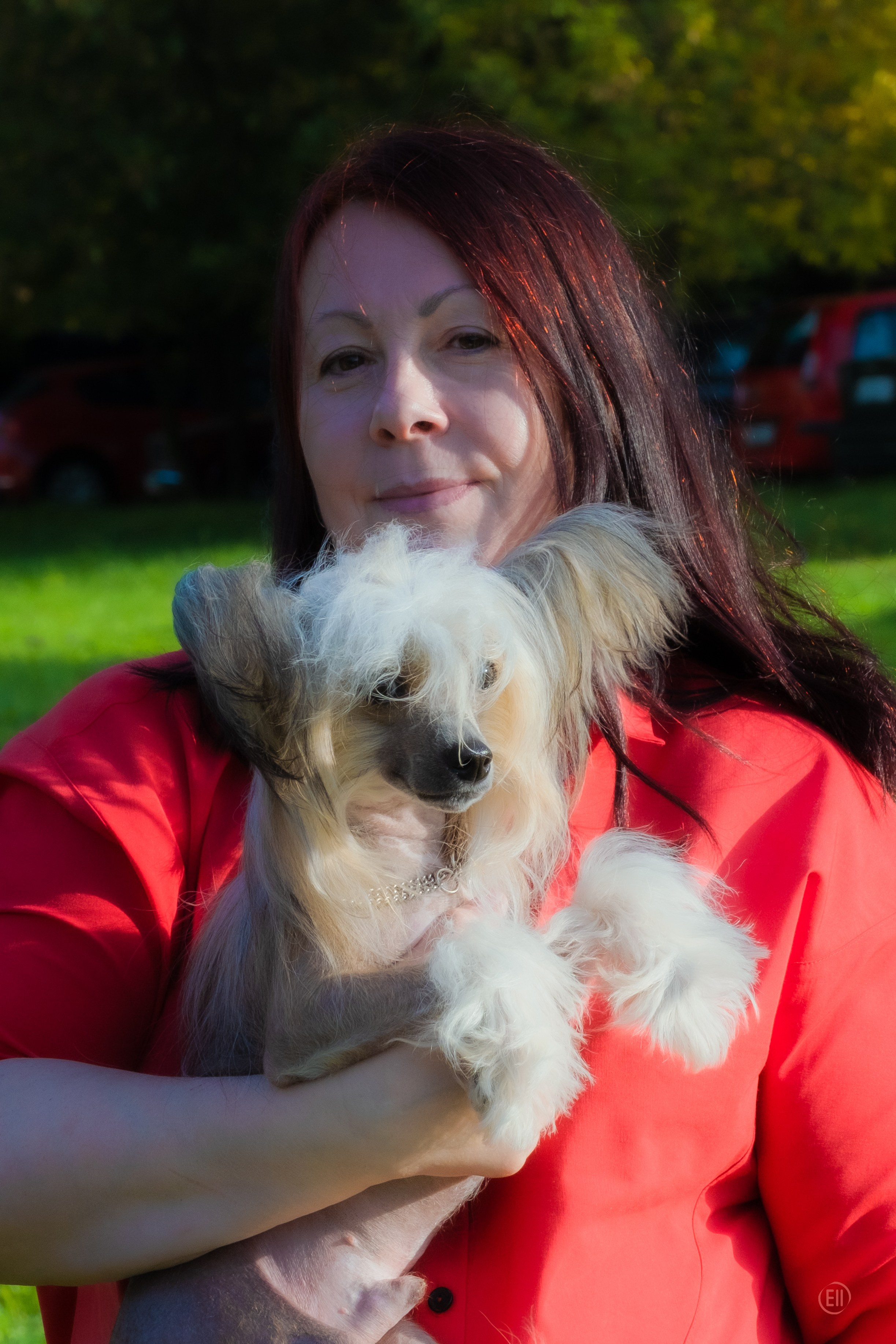 Друг человека. Фотограф в Москве