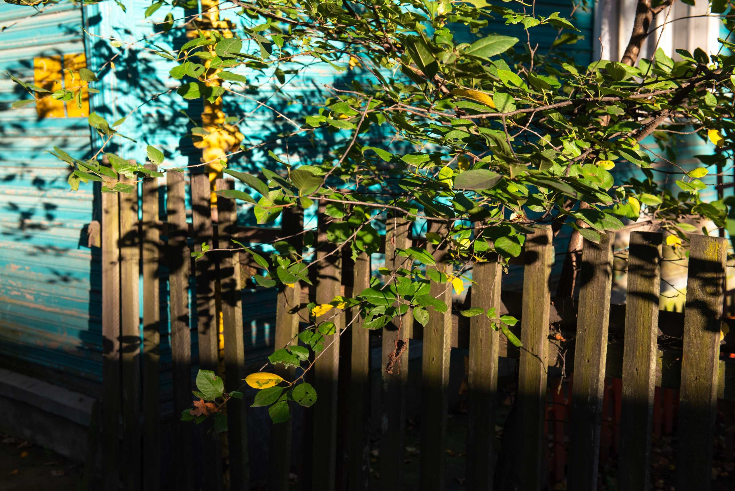 Печоры. Портретный и архитектурный фотограф в Москве и Санкт-Петербурге