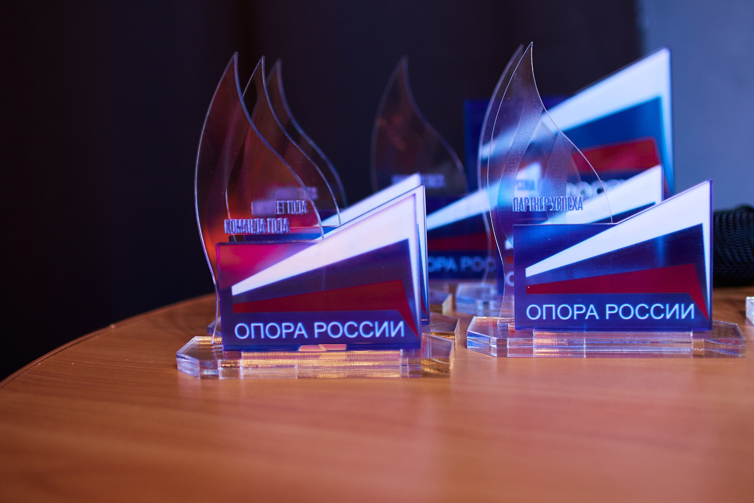 Опора России — Новый год. Виктория Ларина — Портретный профессиональный фотограф в Иркутске
