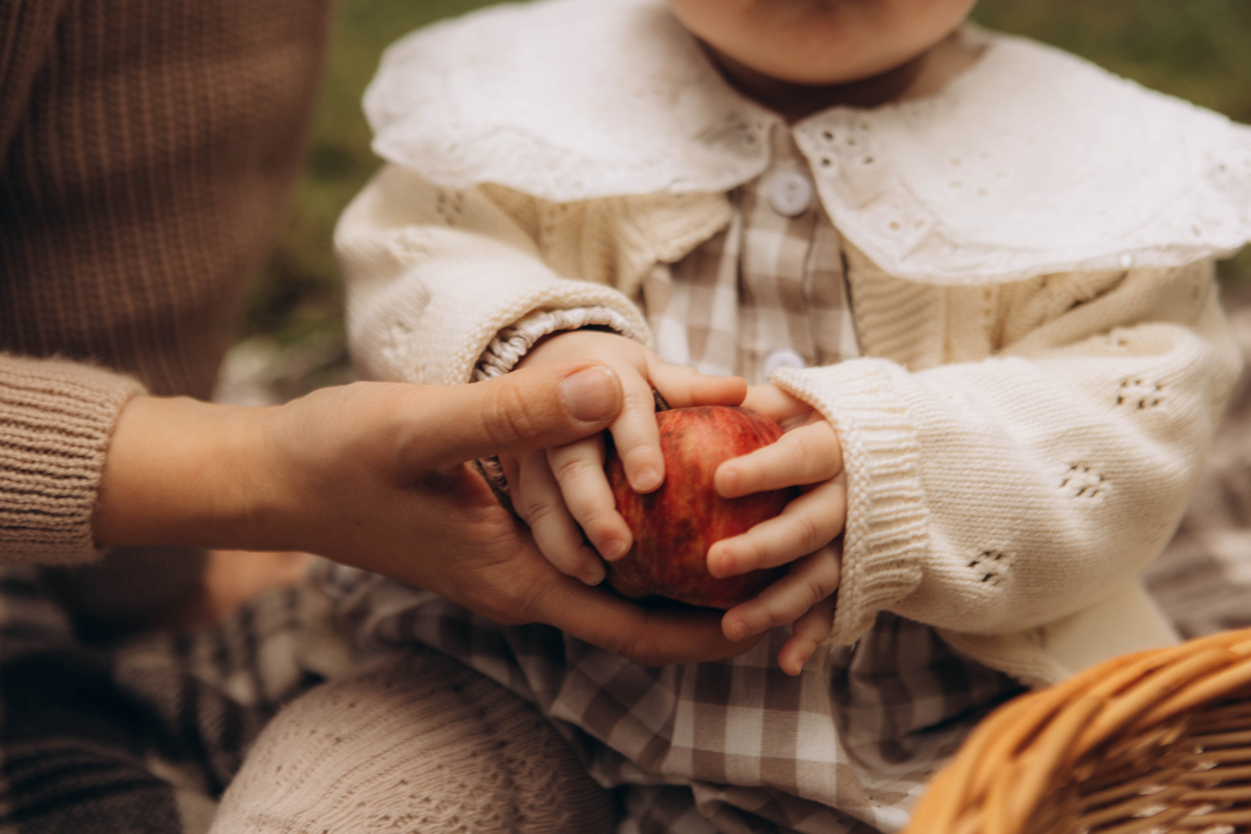 Лесная история. Наталья Косьянова. Ваш фотограф. Москва