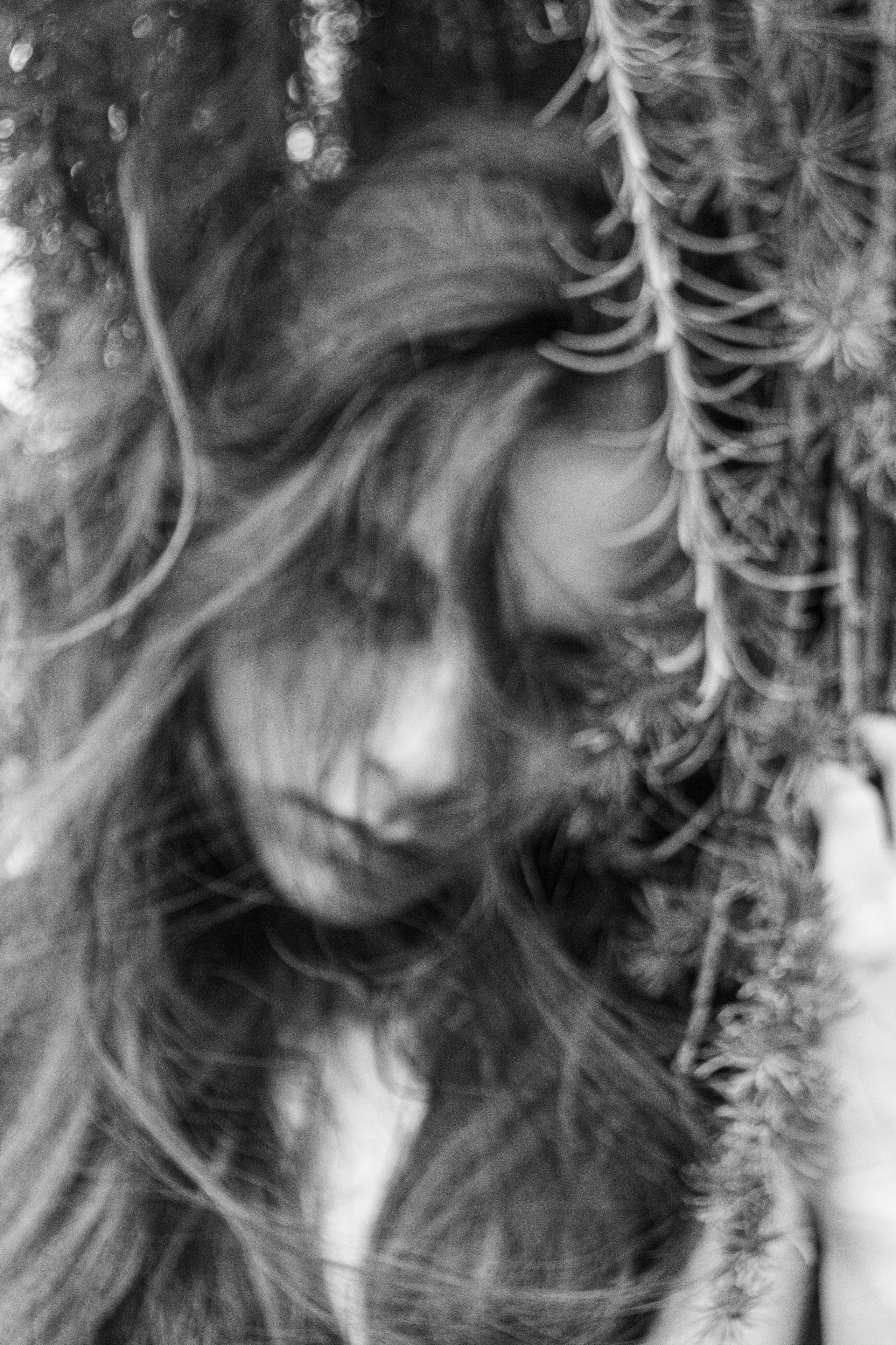 For Liza. VICTORIA SHU