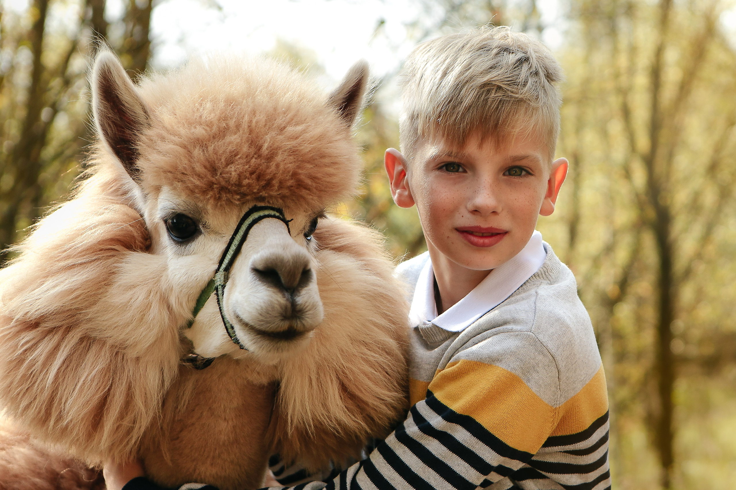 Альпаки. Семейный и детский фотограф в Москве Александра Мак