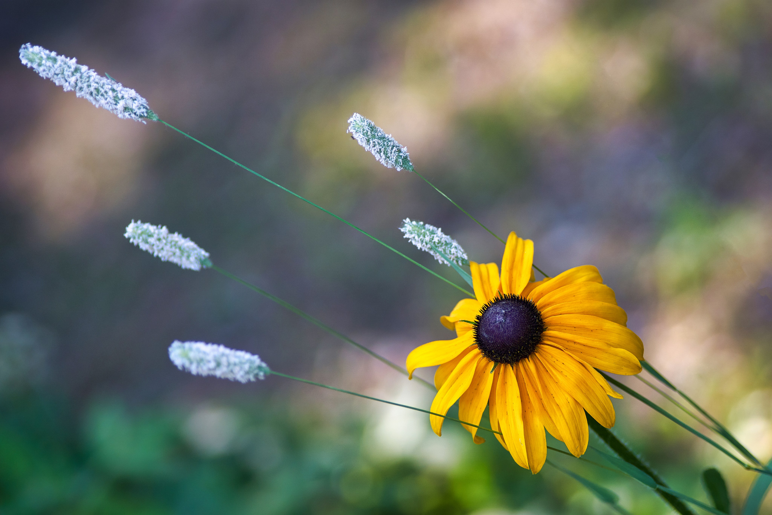 Наша мать — природа. Фотограф Владимир Артамонов