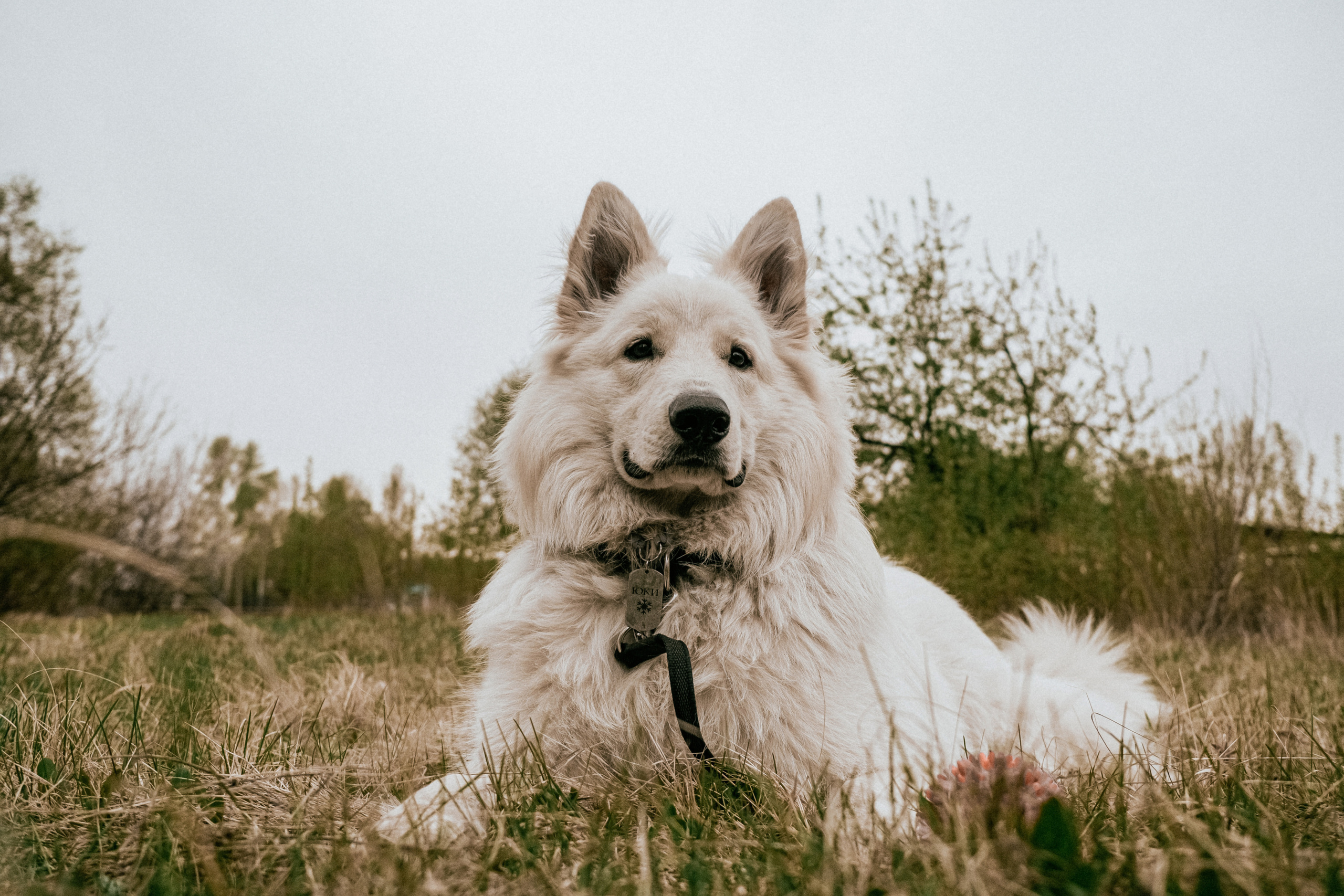 Игорь, Лена, Юки. Фотограф Москва, Санкт-Петербург, Абакан