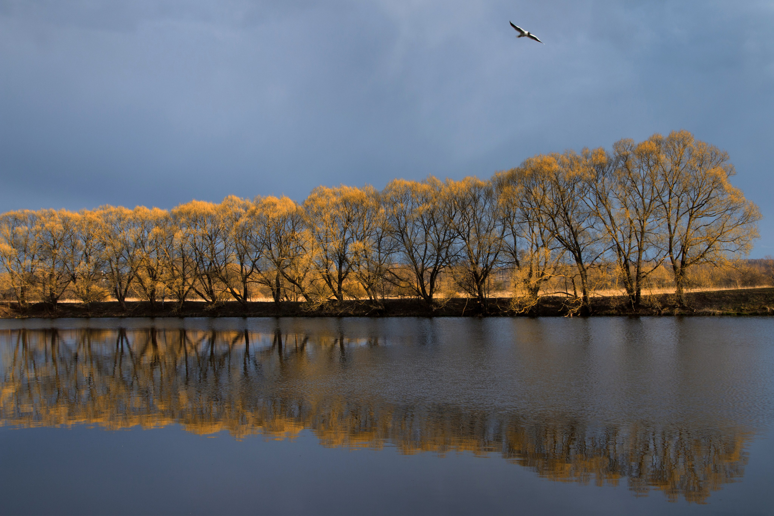Фото. Фотограф Лагутин Анатолий