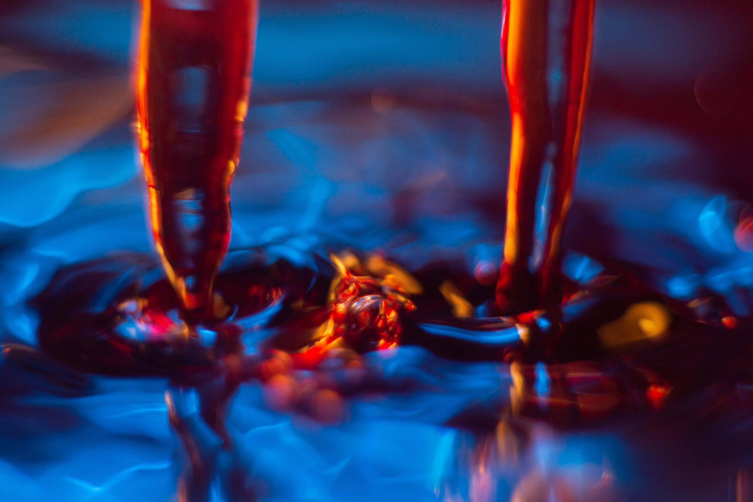 Макро. Фотограф Лагутин Анатолий