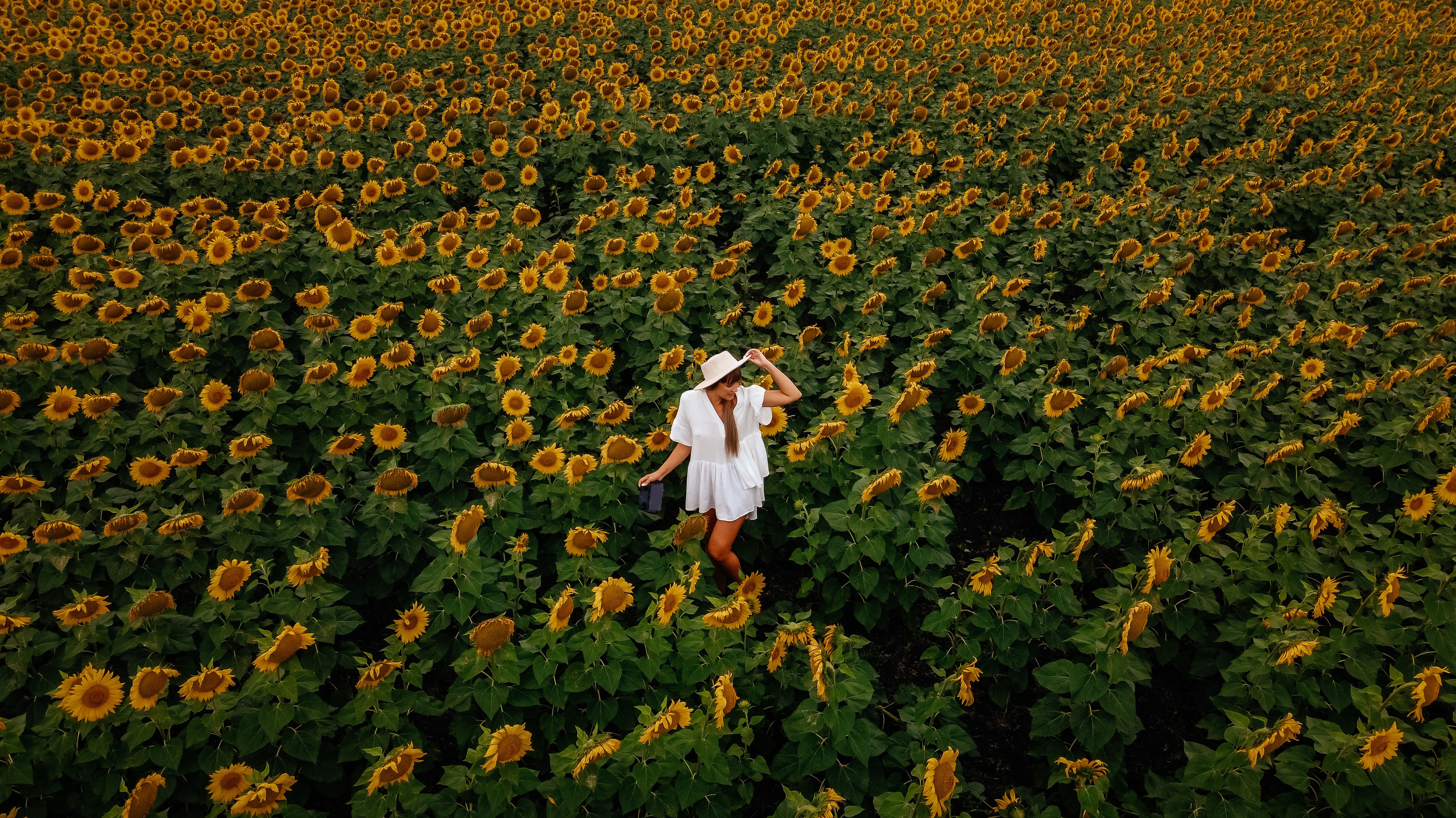 Подсолнухи, Тюмень. Свадебный и семейный фотограф. Фототуры по всему миру