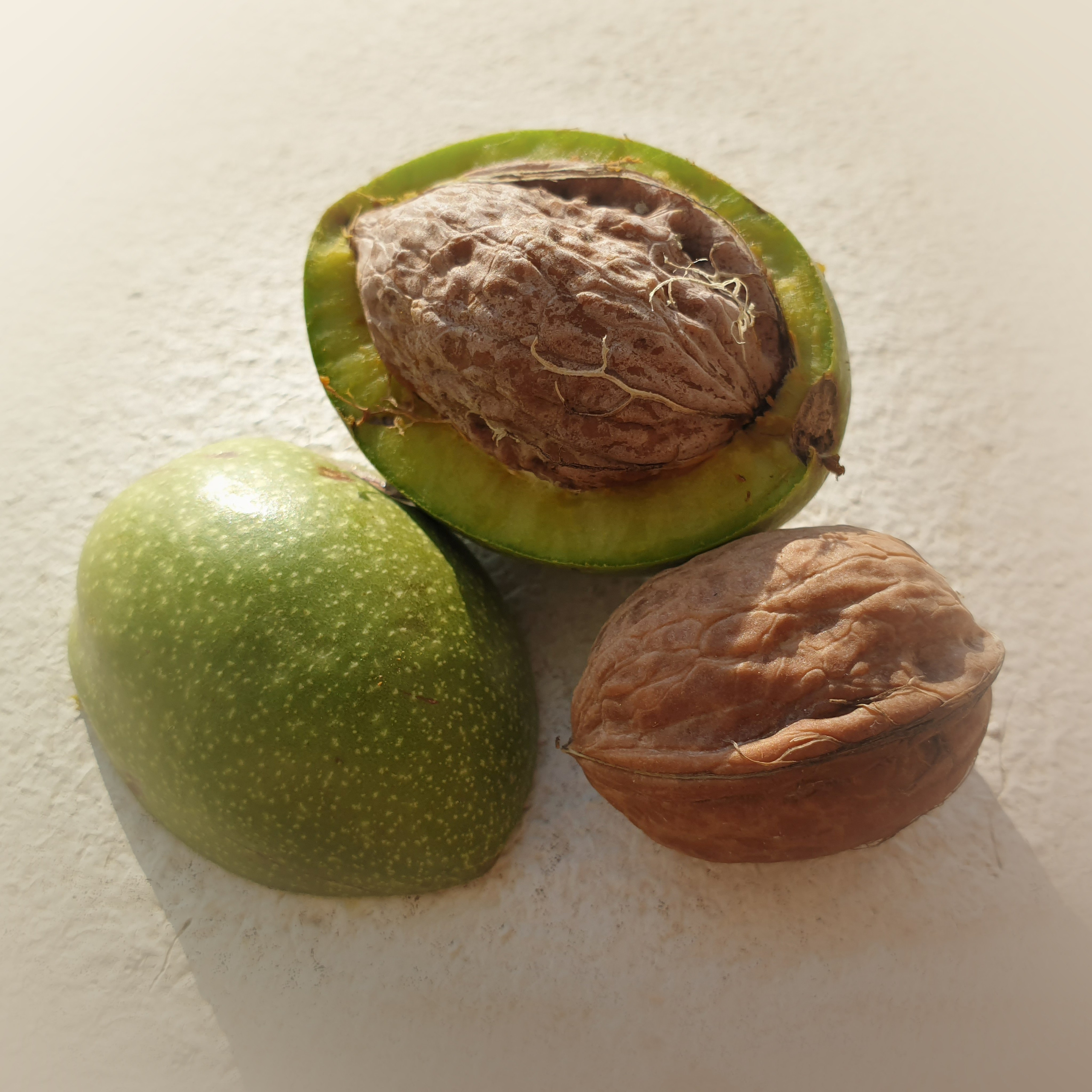 Проект «366»|2024|Фото каждый день. LENA GRACE photographer ||ЛЕНА ГРЭЙС фотограф