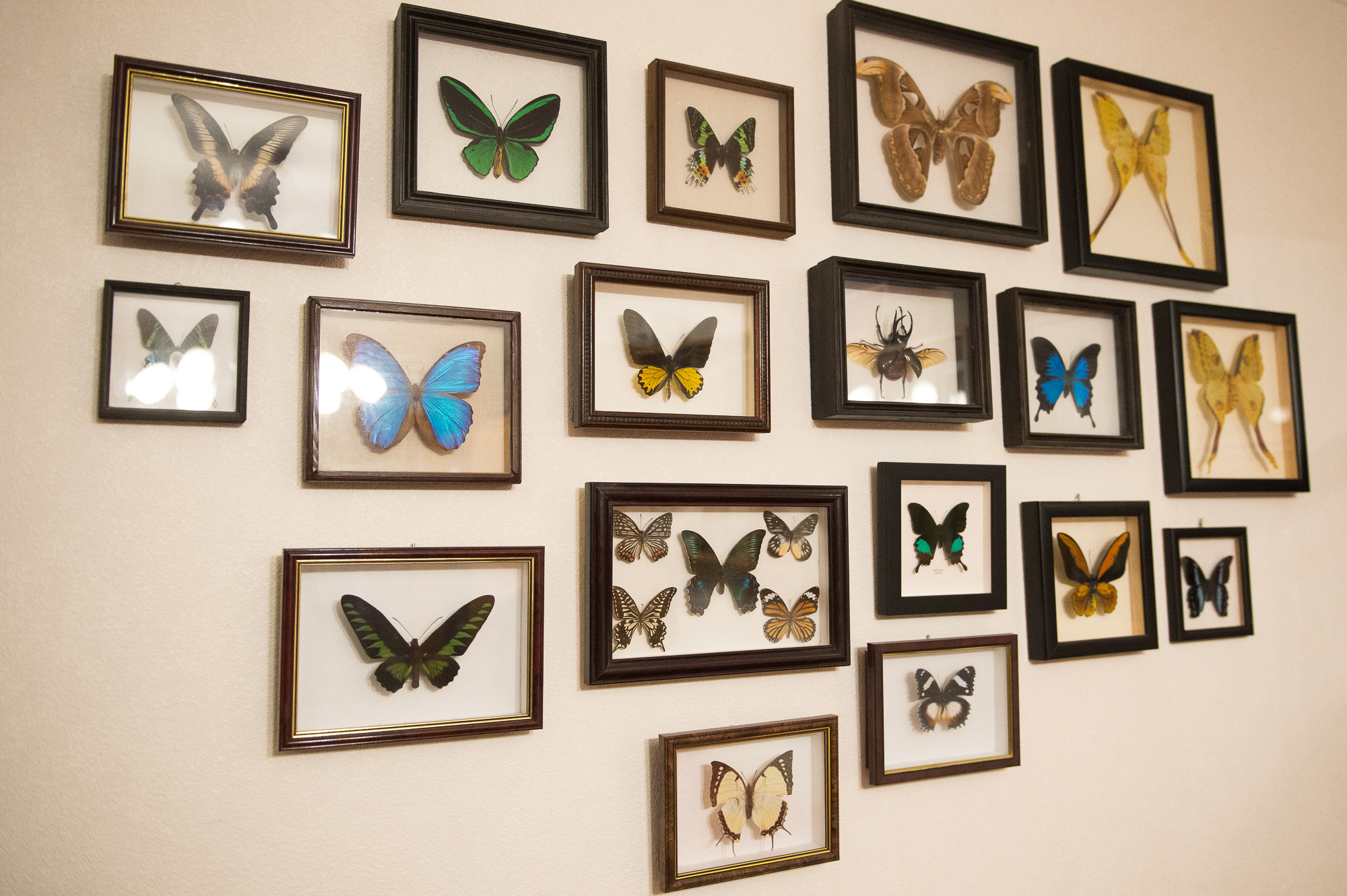 В гостях у Алексея Грум-Гржимайло. Портретный фотограф в Москве Алексей Михайлов