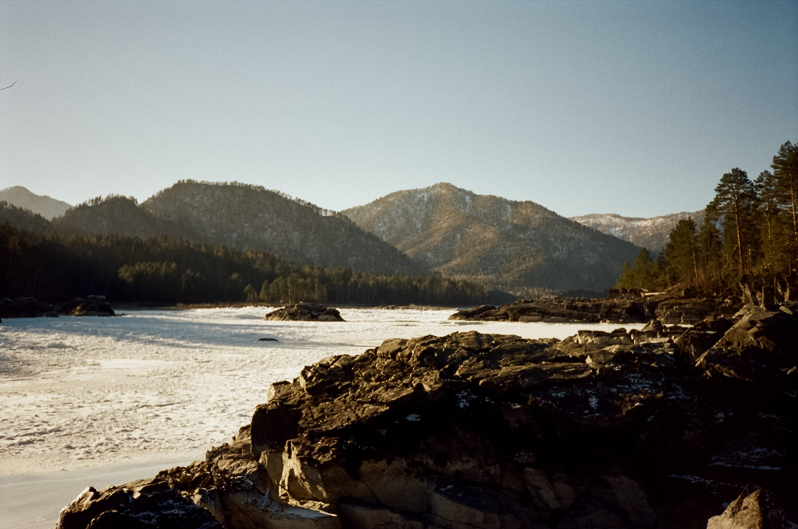 Зимняя Катунь: острова, льды, скалы у базы Берель. Зеленые сосны и. Фотограф-документалист Мария Осокина