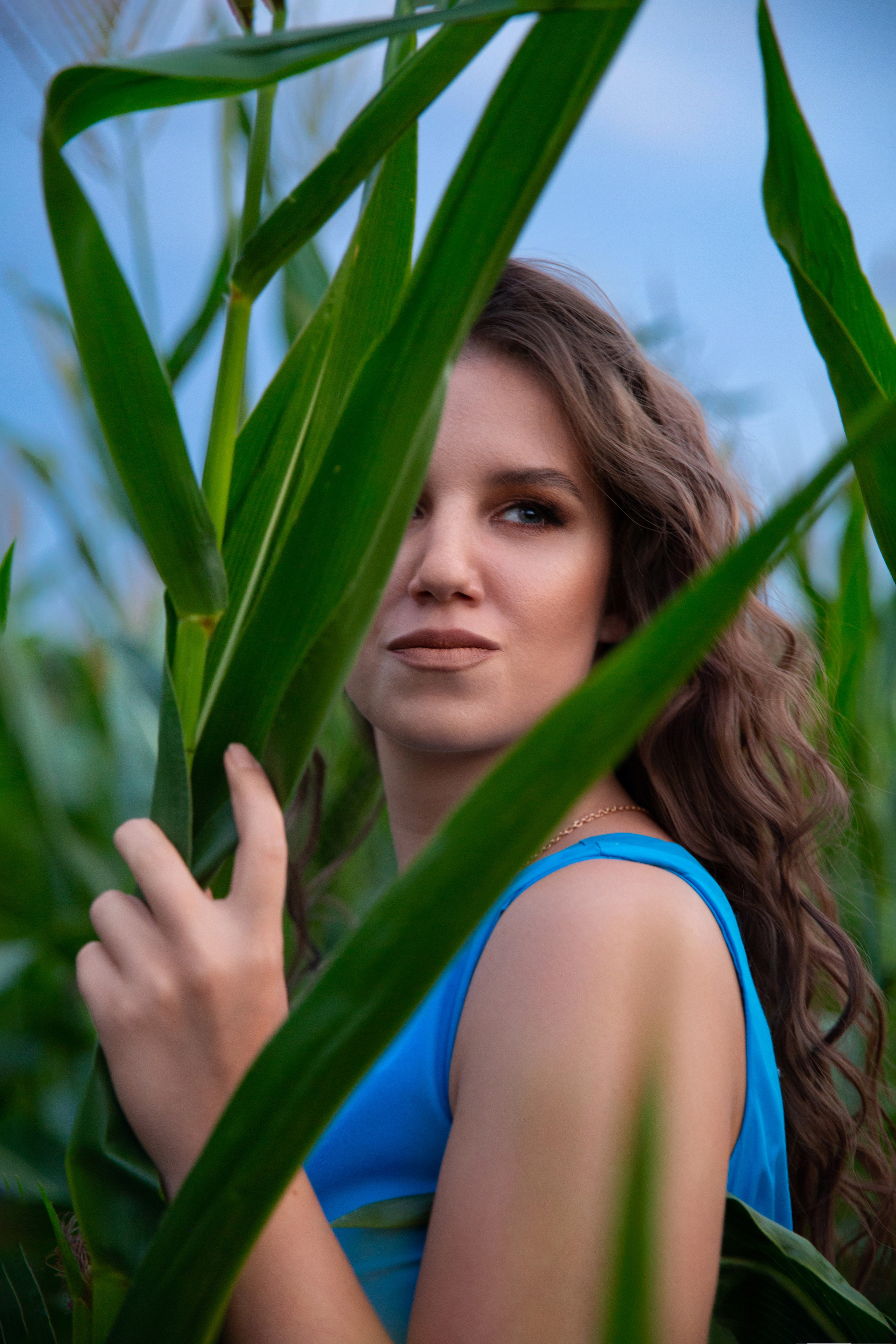 Кукурузное поле. Фотограф Москва I Чехов Вероника Долинская