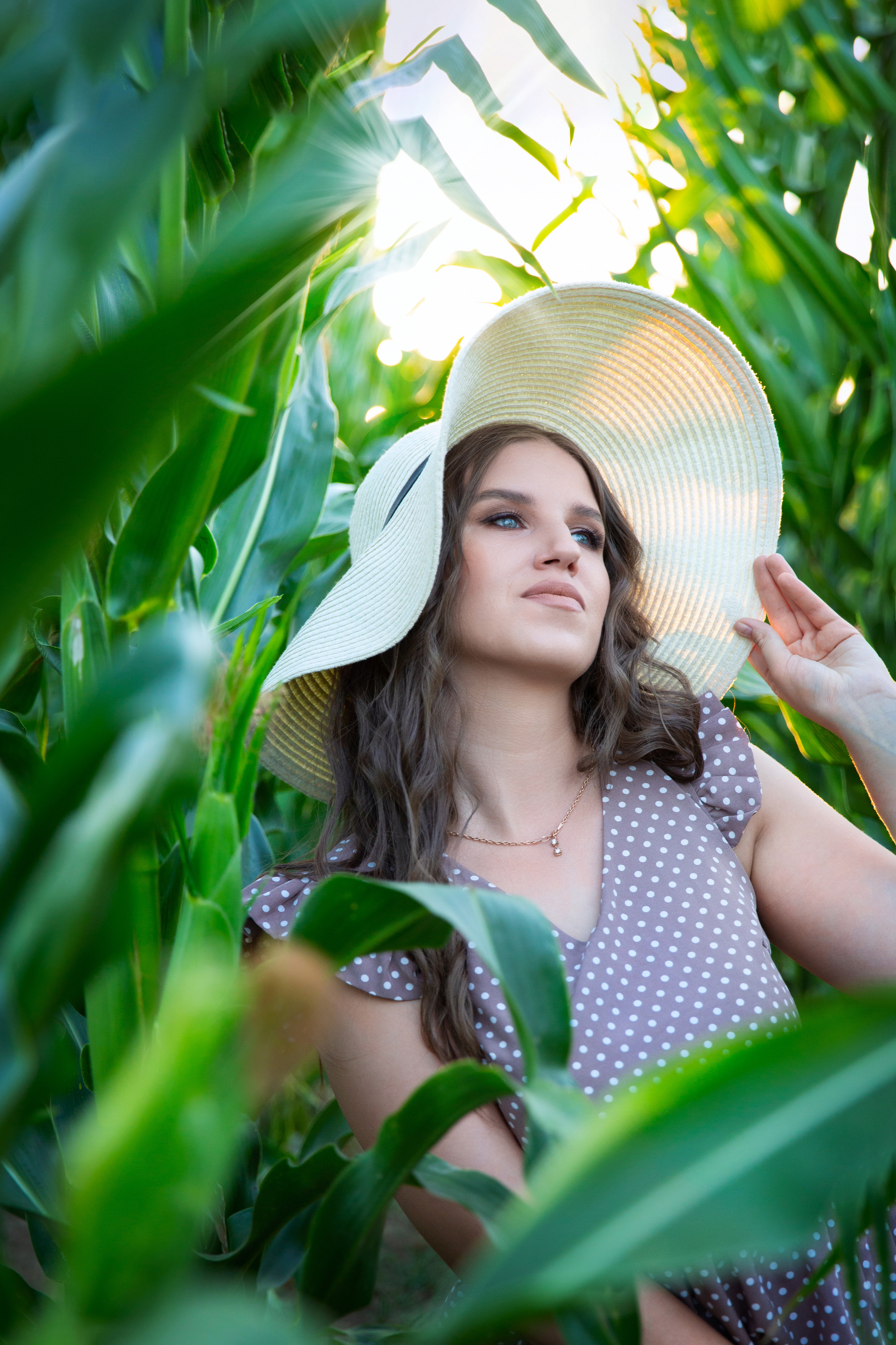 Кукурузное поле. Фотограф Москва I Чехов Вероника Долинская