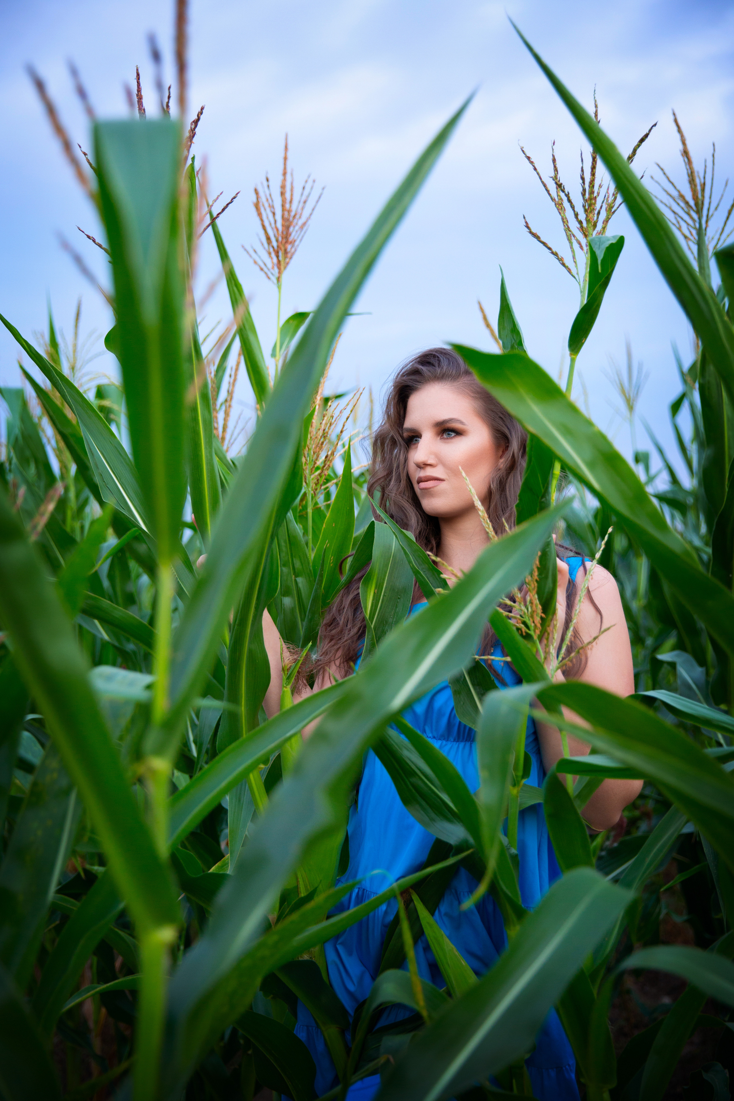 Кукурузное поле. Фотограф Москва I Чехов Вероника Долинская