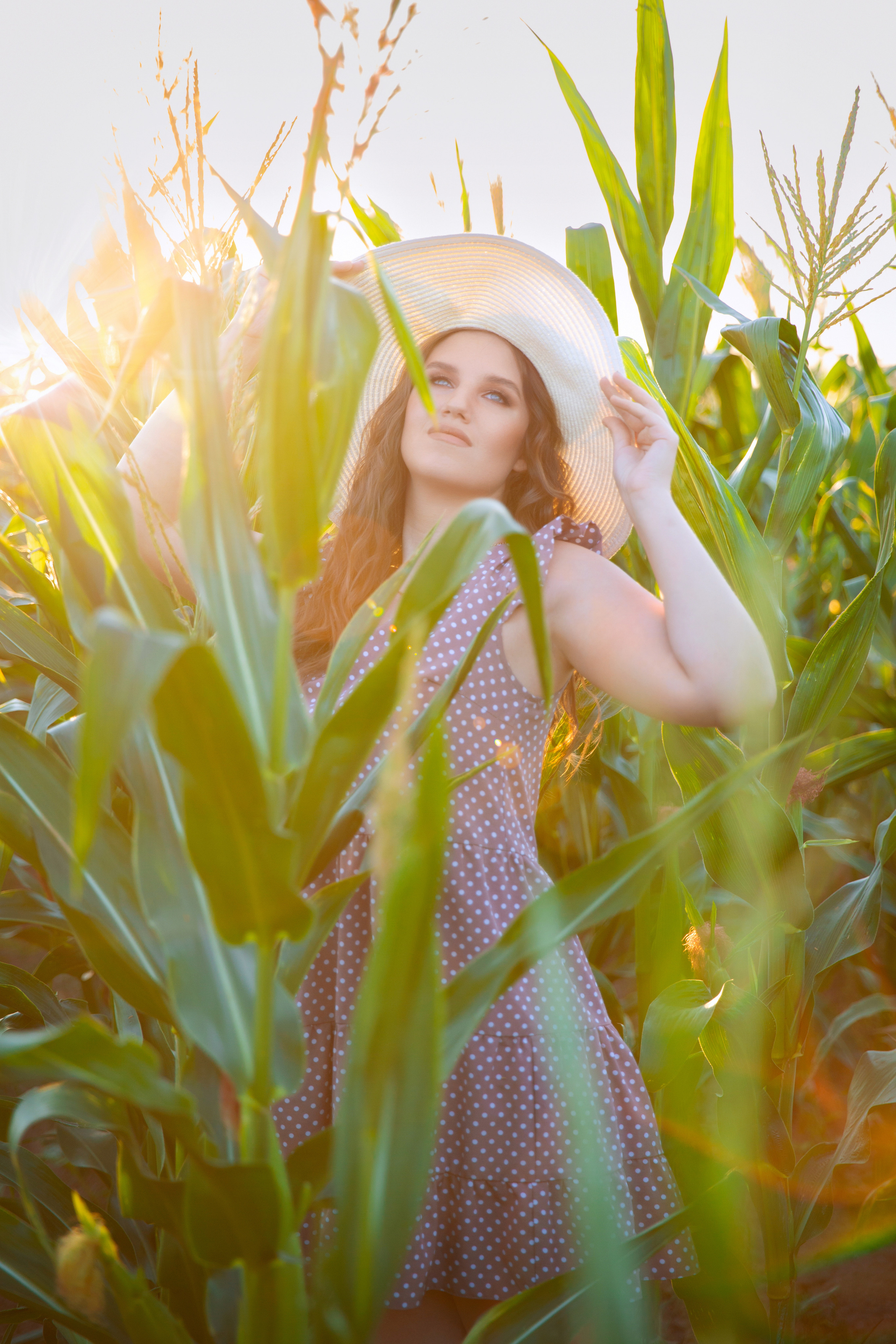 Кукурузное поле. Фотограф Москва I Чехов Вероника Долинская