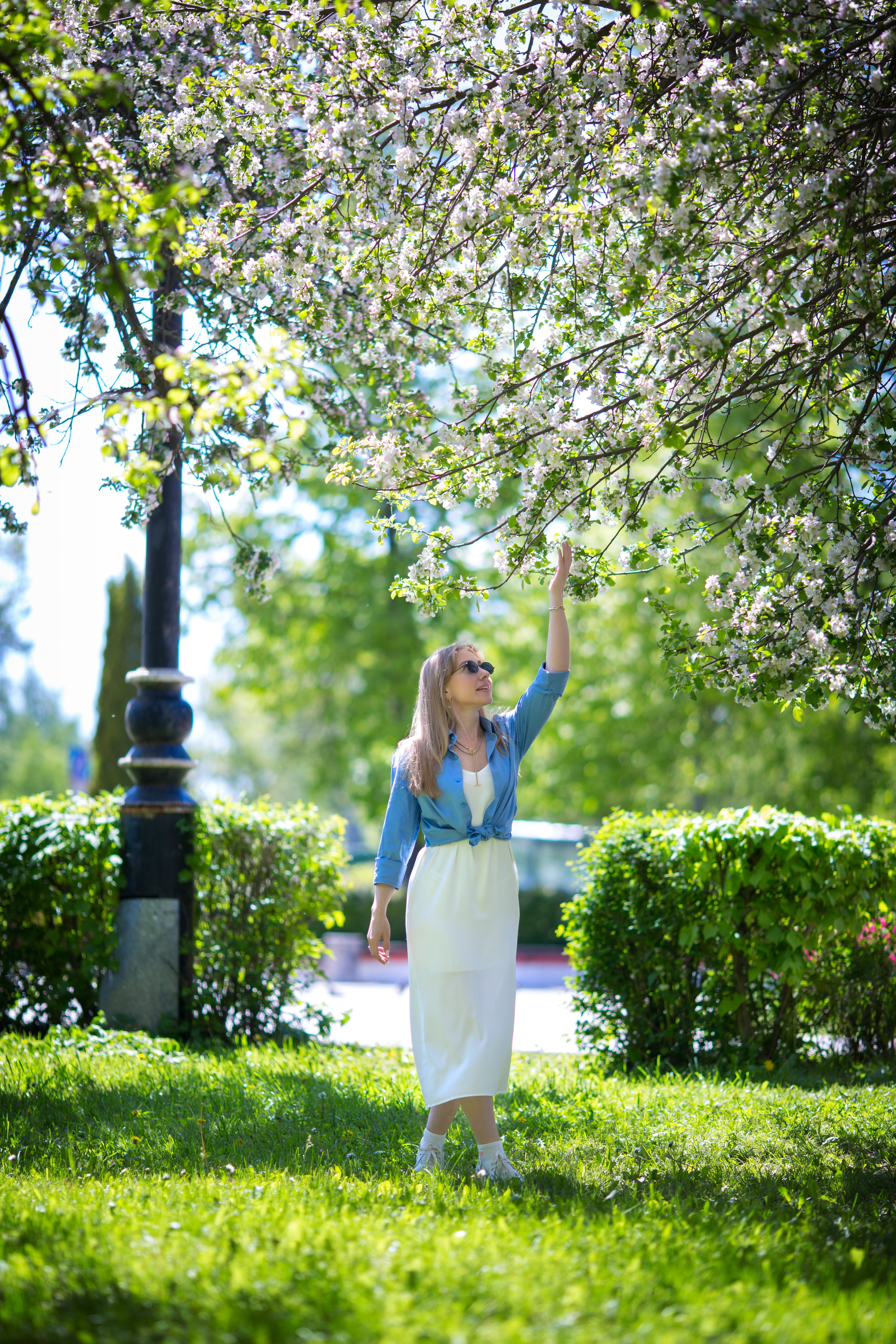 Яблоневый сад. Фотограф Москва I Чехов Вероника Долинская