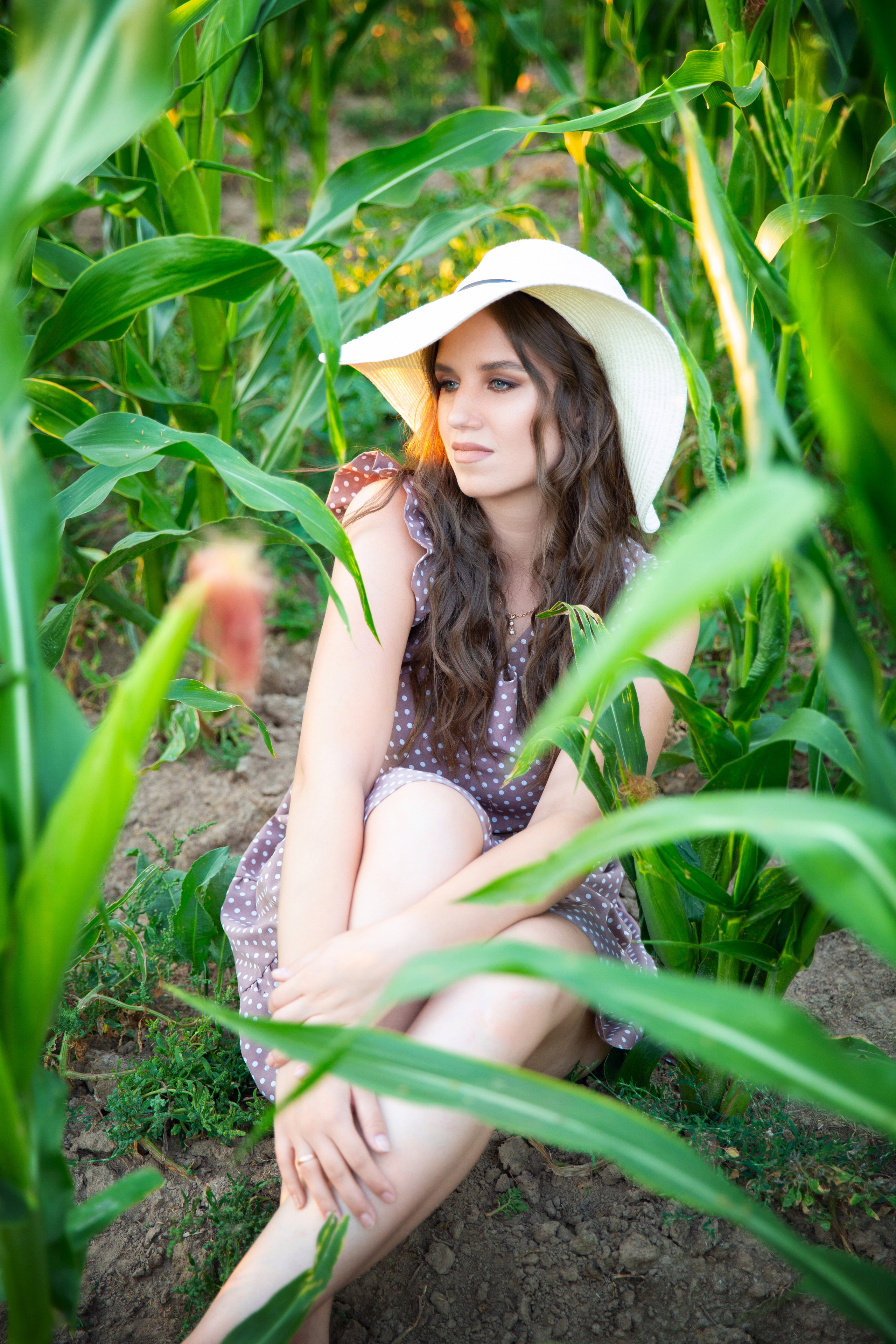 Кукурузное поле. Фотограф Москва I Чехов Вероника Долинская