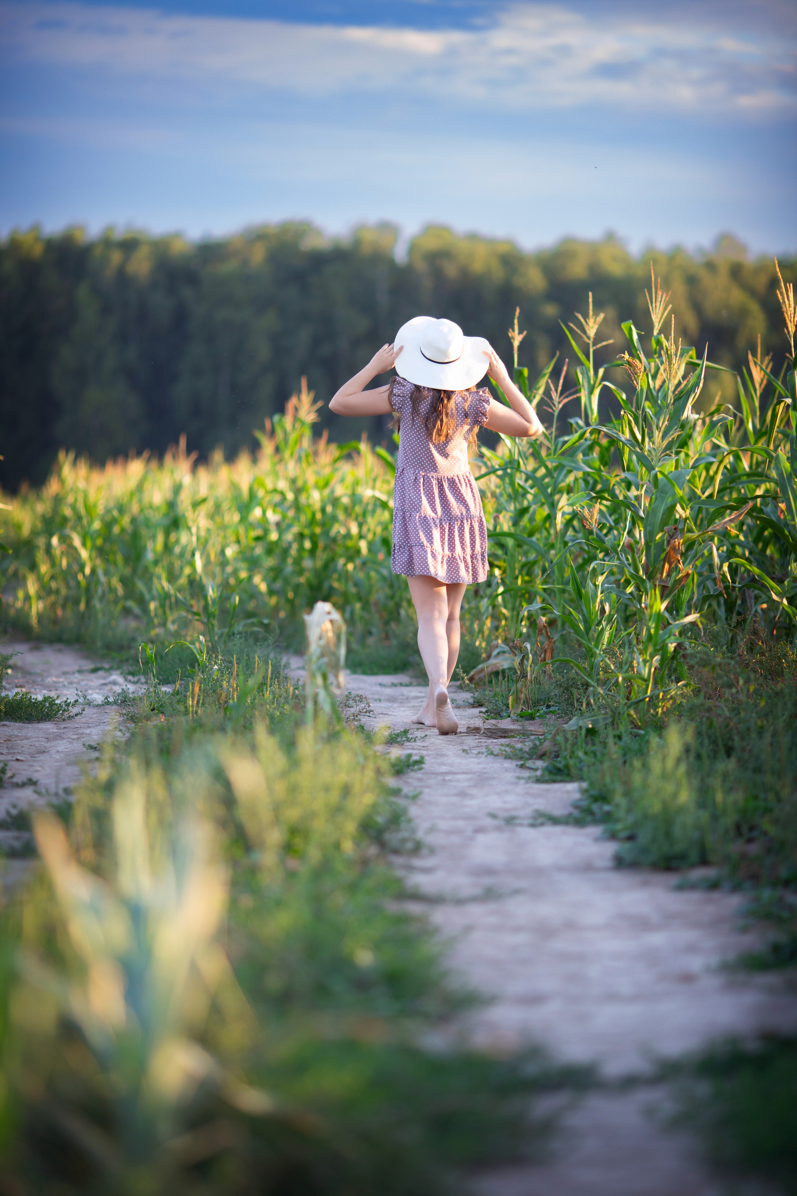 Кукурузное поле. Фотограф Москва I Чехов Вероника Долинская