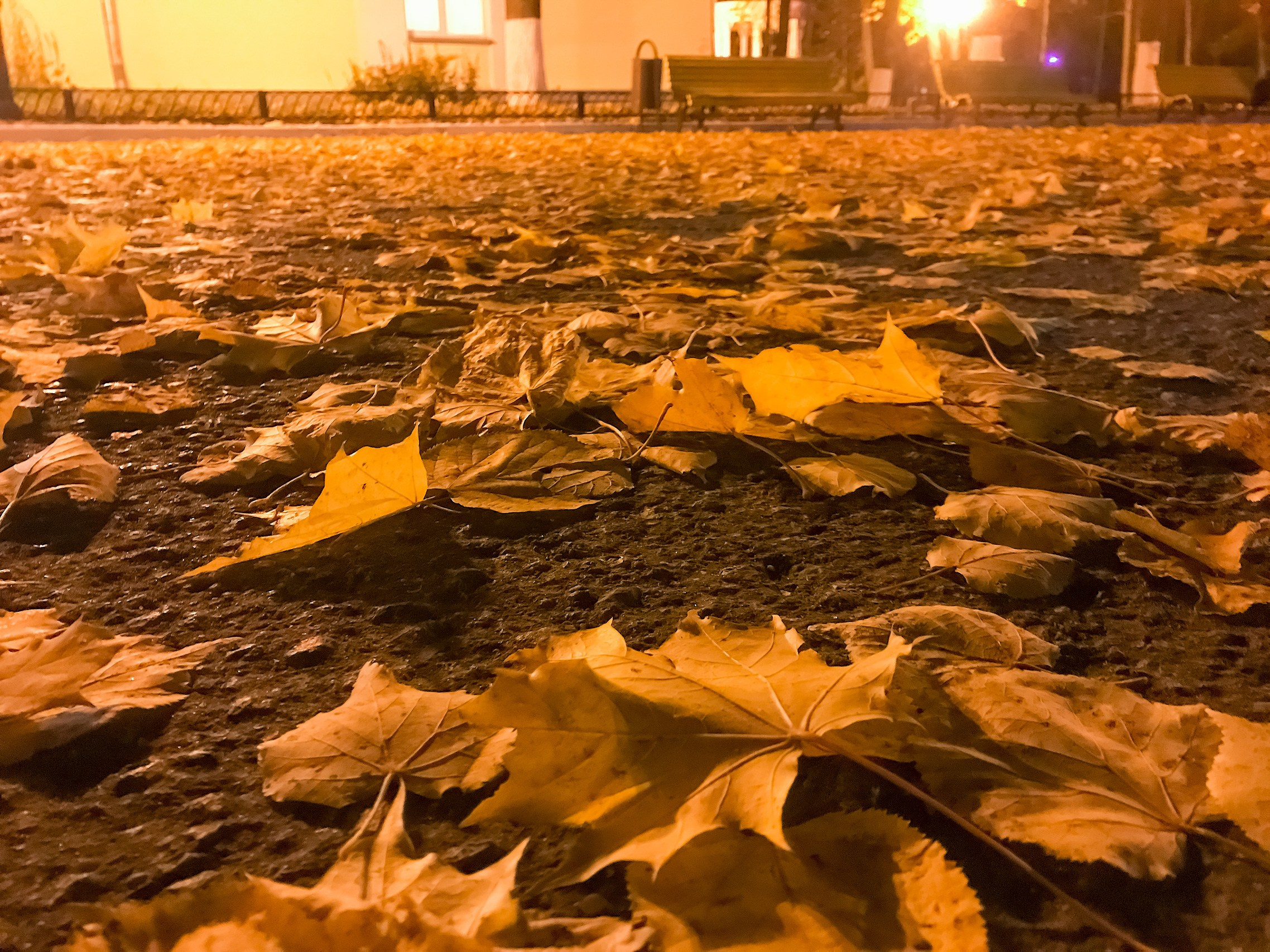 Слова и тишина. Аmat Victoria Сuram