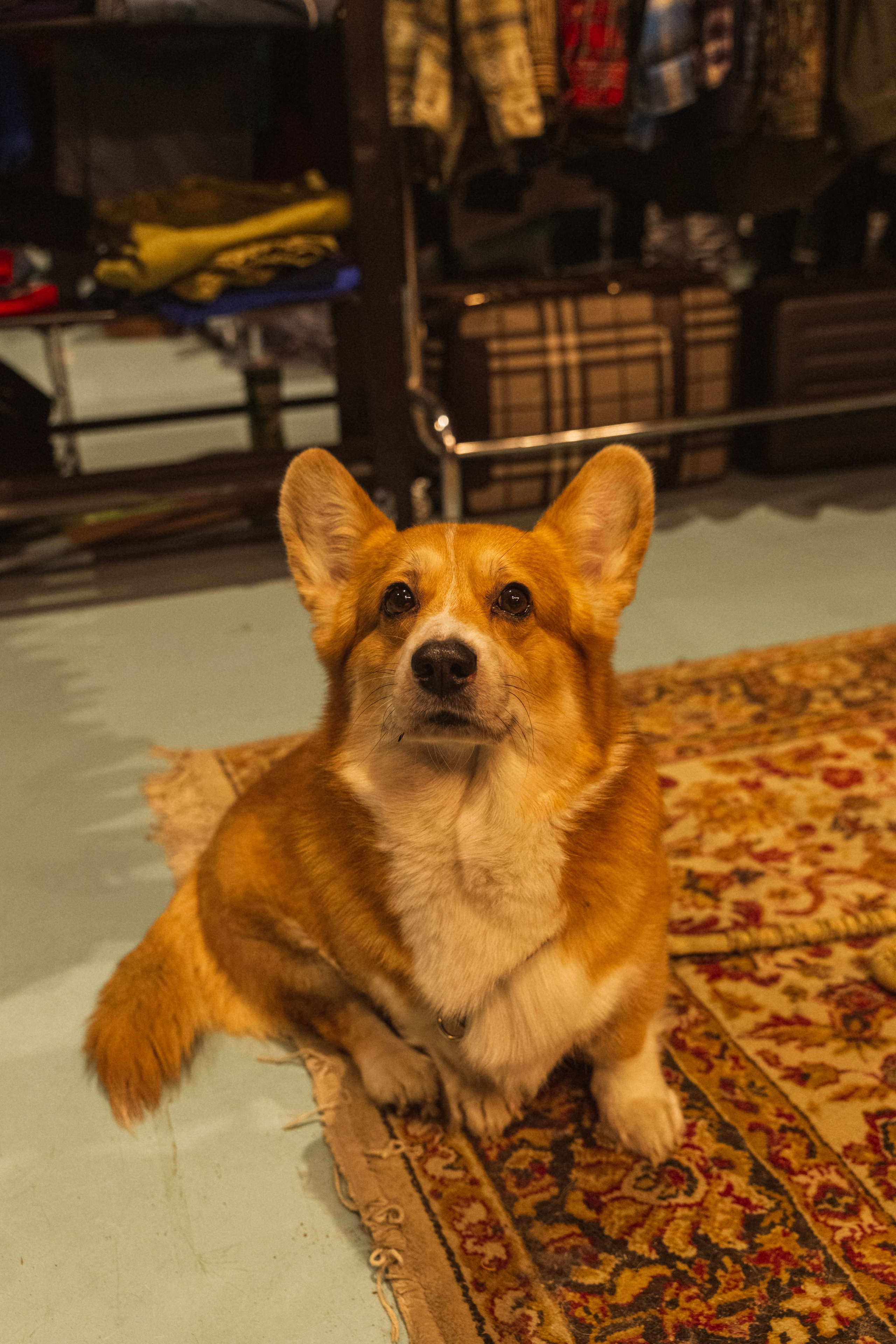 Репортажная и контент съемка. Портретный и Семейный фотограф в Санкт-Петербурге Rocket Alice