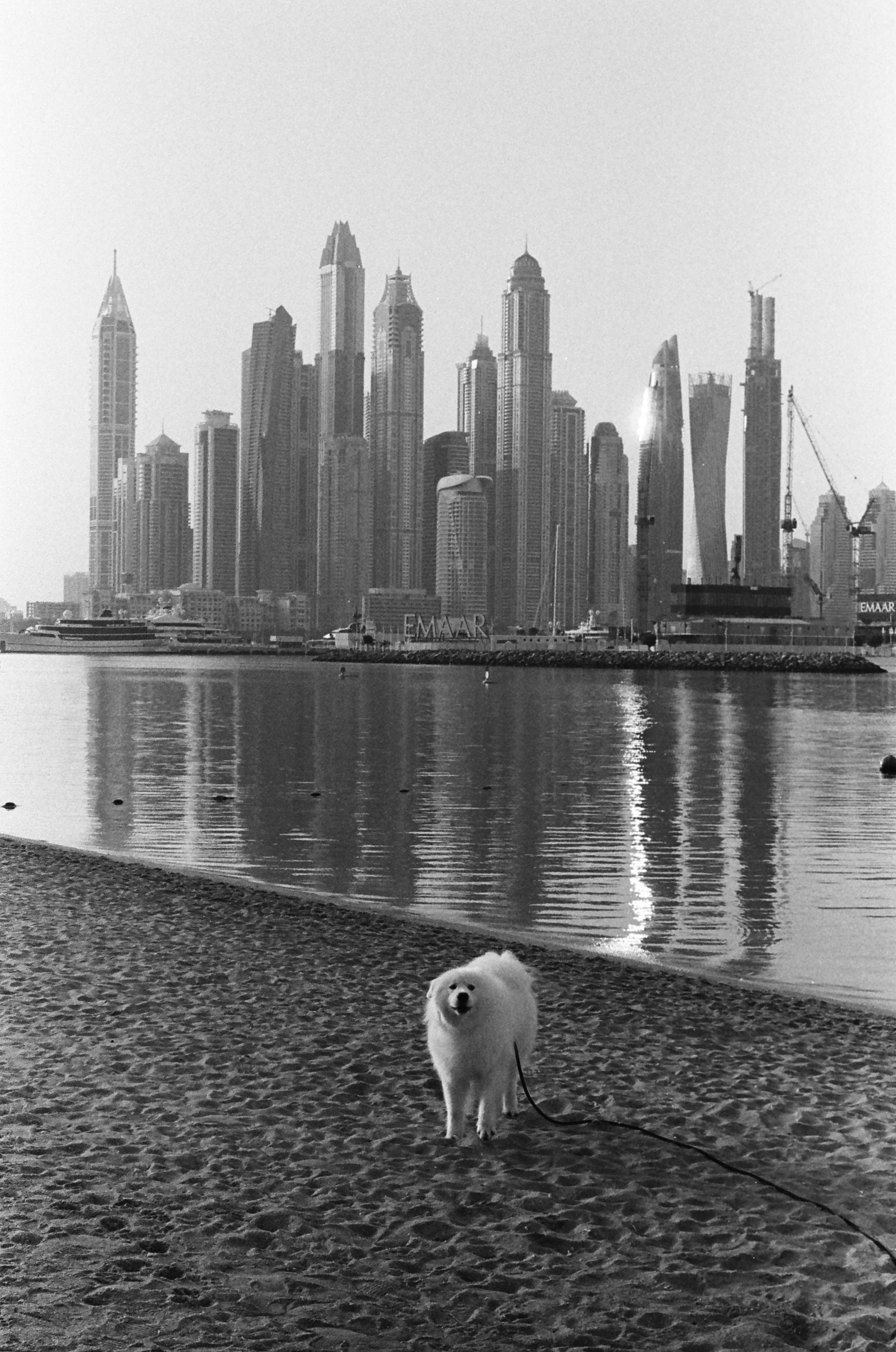 Places. TATIANA DARINA — film photographer in St. Petersburg