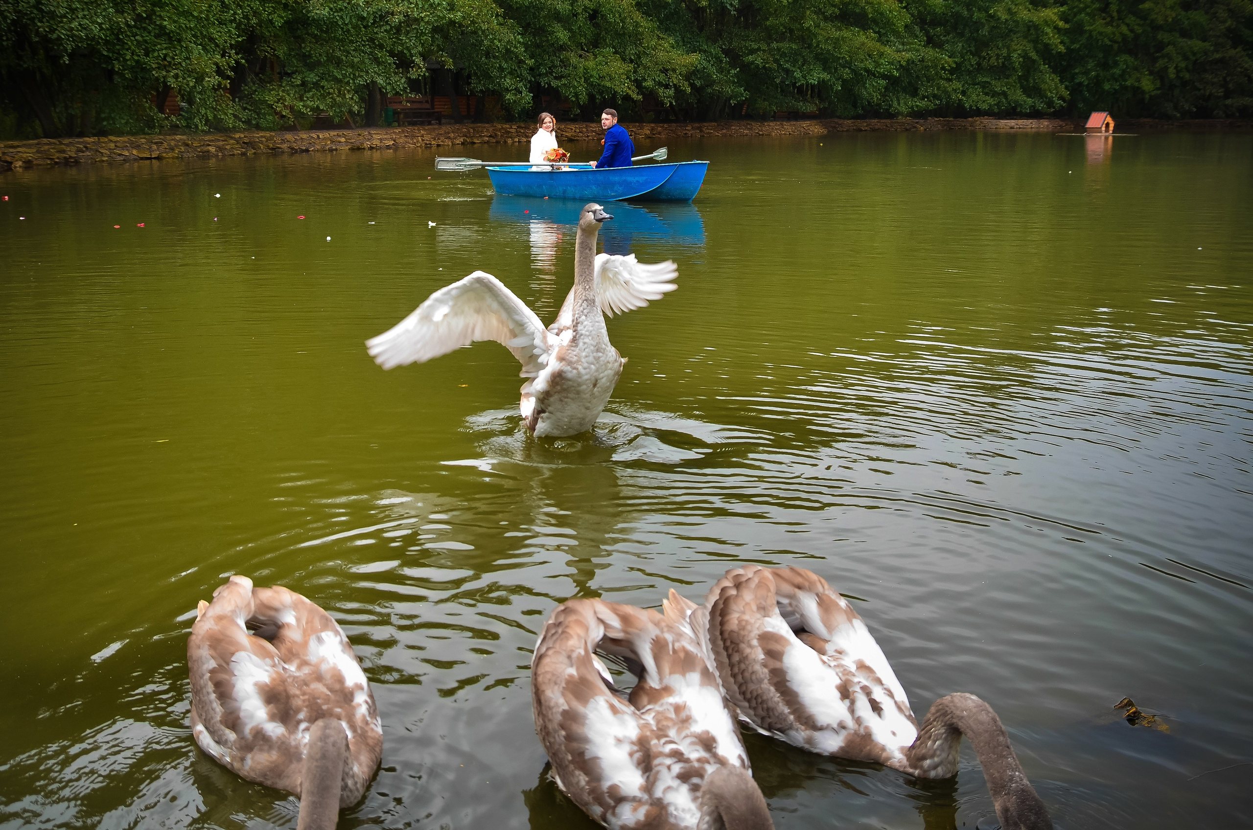 Таина и Игорь. Свадебный фотограф в Краснодаре. Фуд фото
