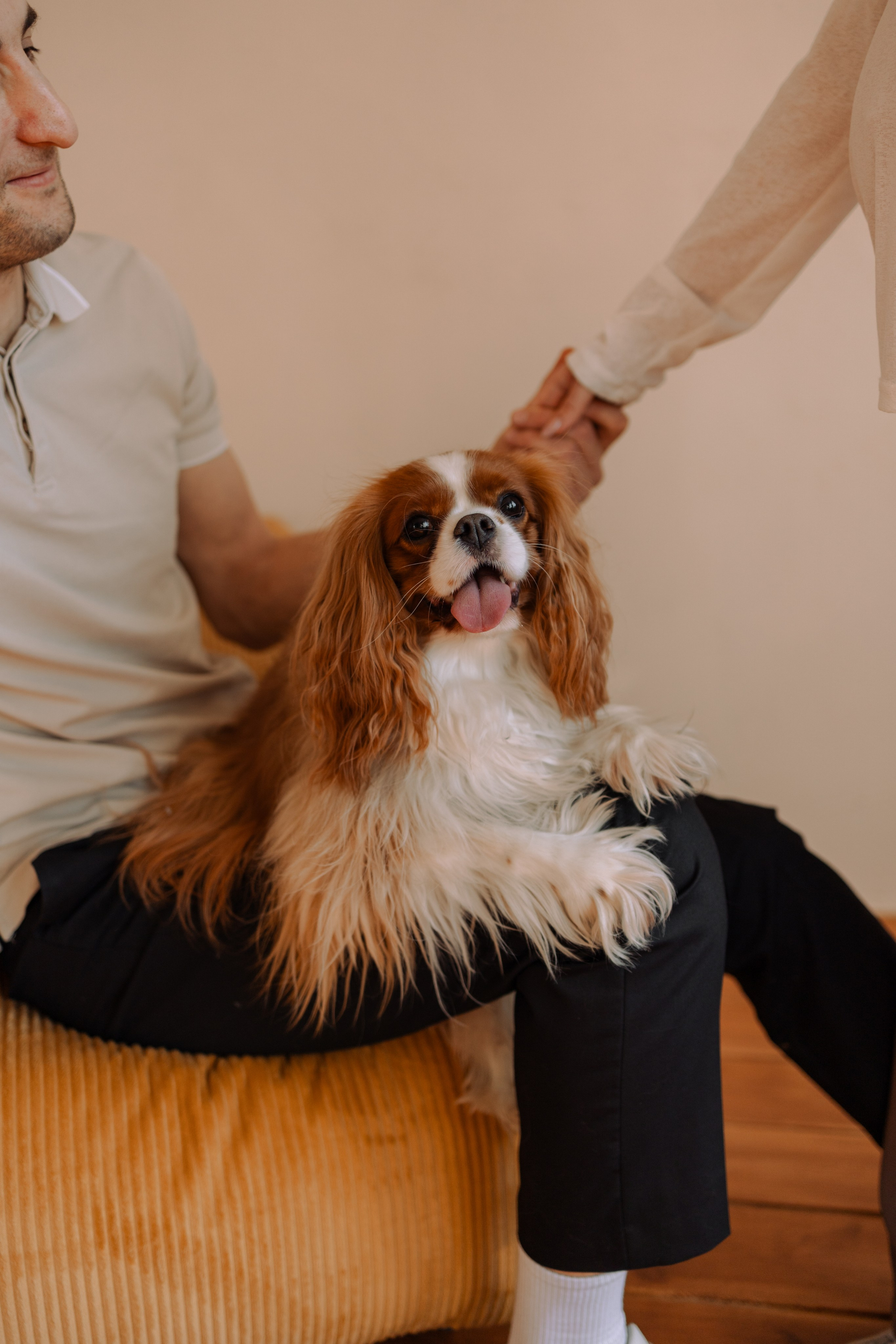 Шерри и ее семья. Фотограф — Анималист | Санкт-Петербург