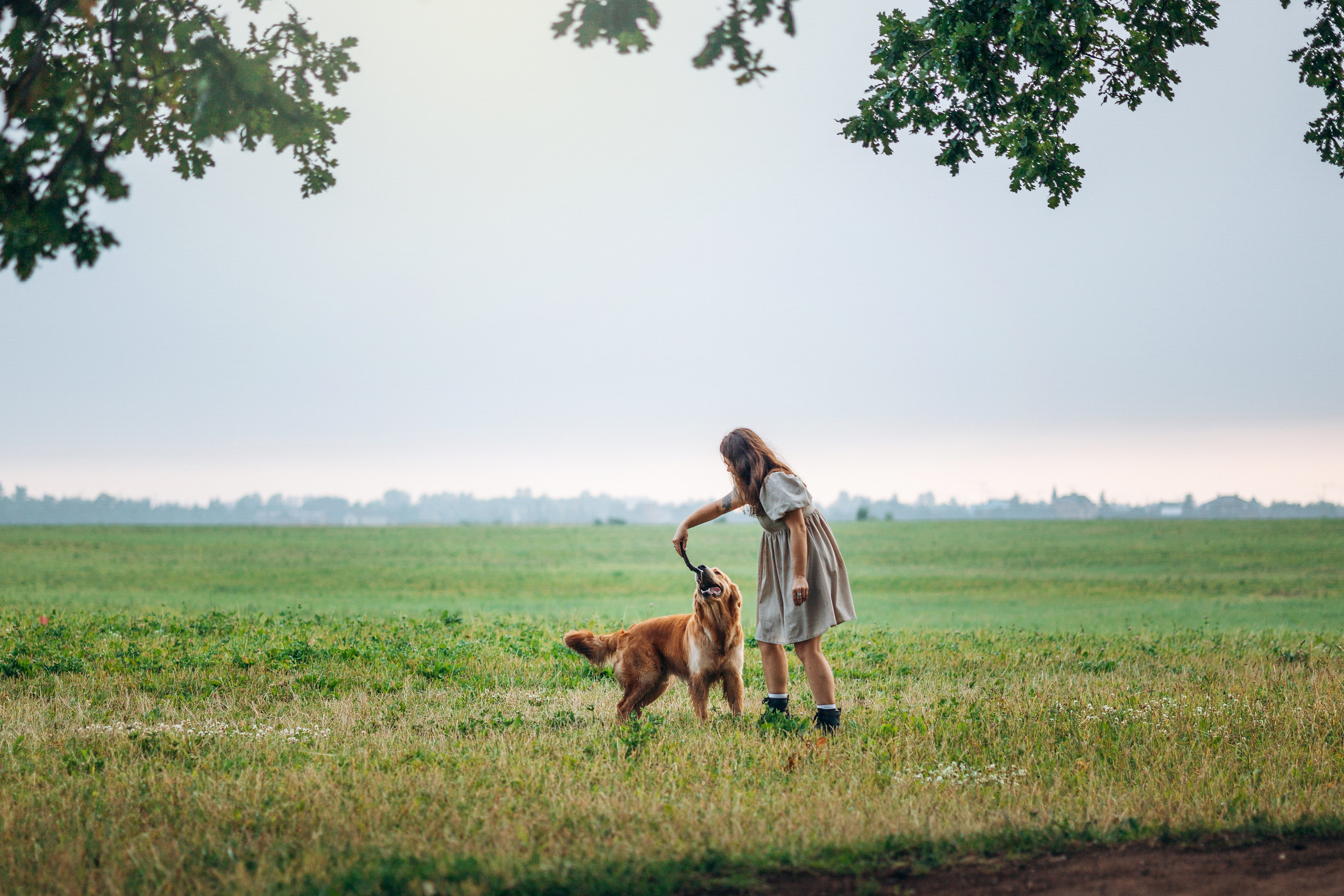 Аня и Ноллан. Фотограф — Анималист | Санкт-Петербург