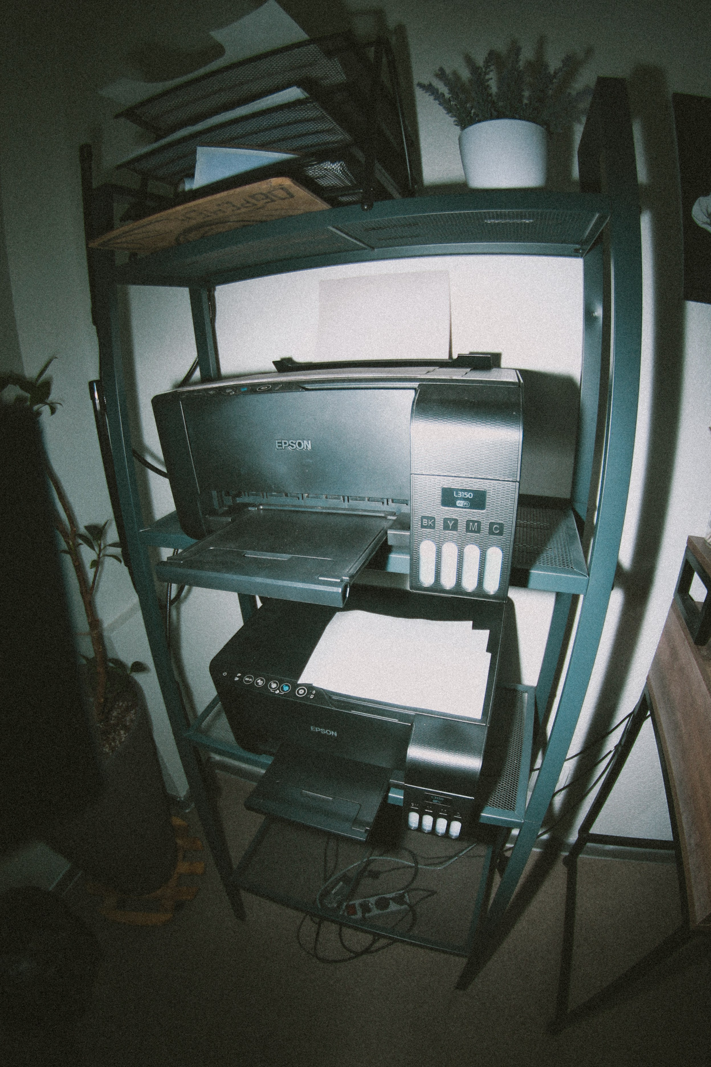 Bobo. Фотограф Мурманск | Нижний Новгород • Анна Хижняк