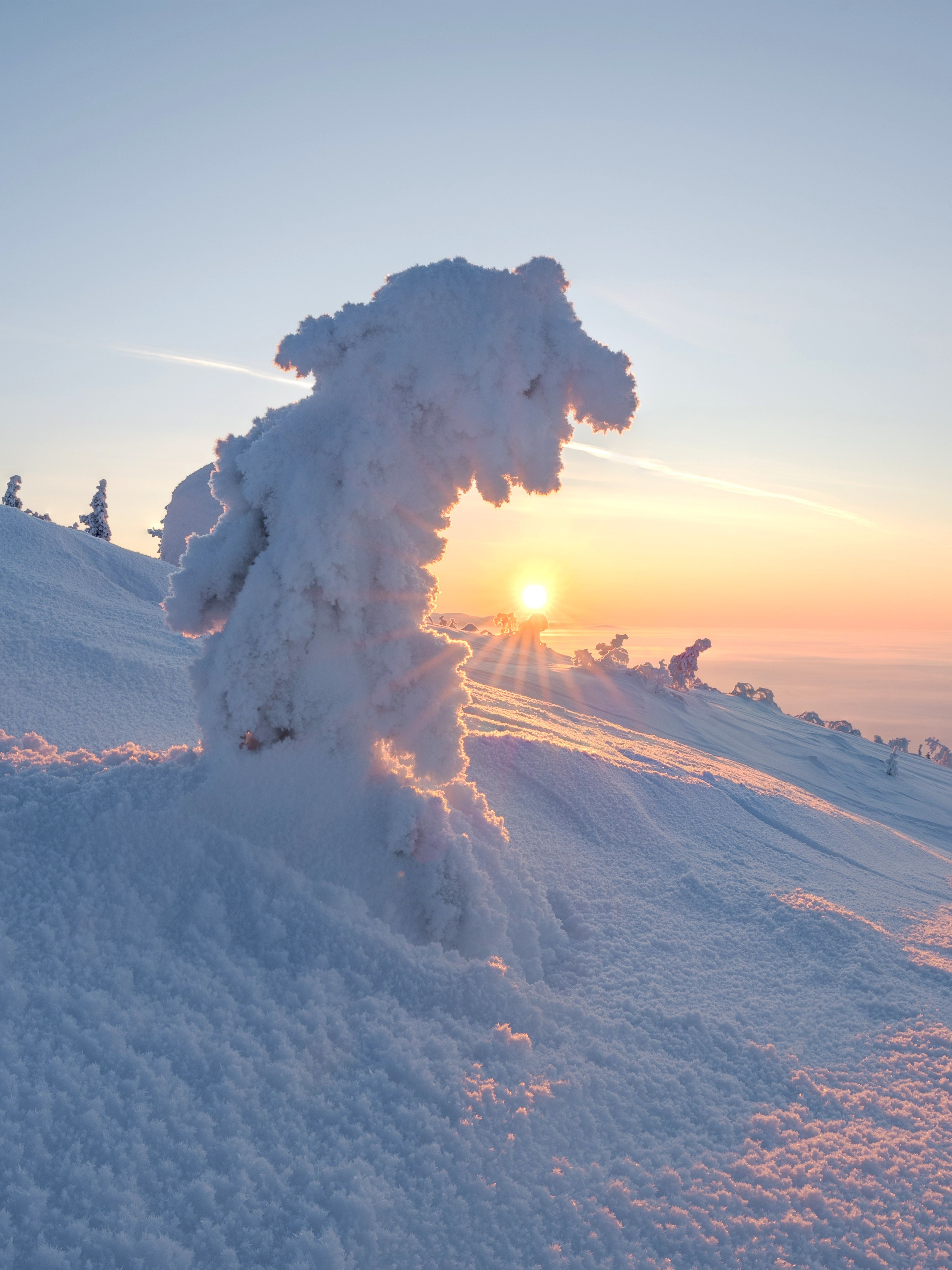 Портфолио. Andrew Gusarov Nature Photography