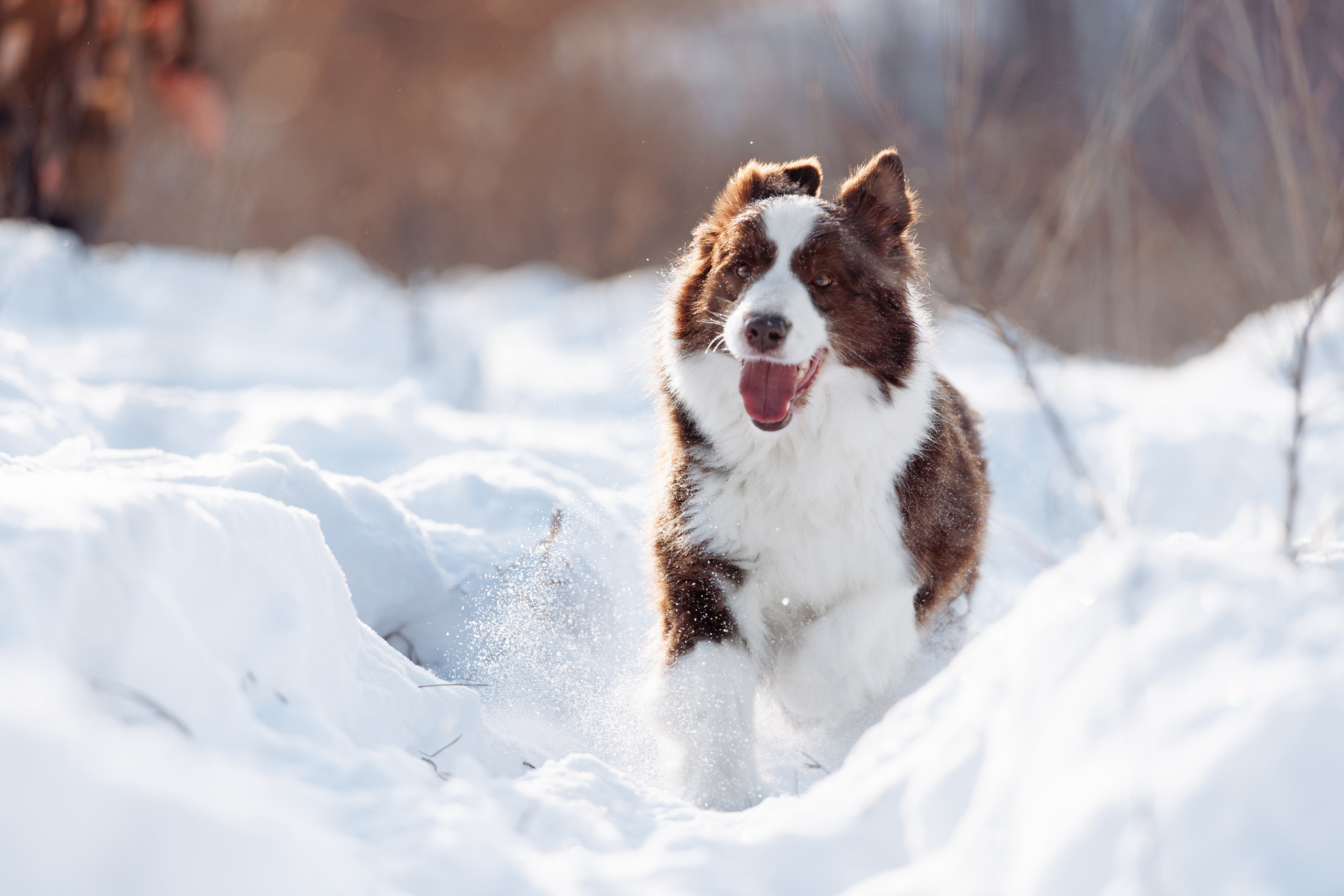 Яркий январь. О нас
