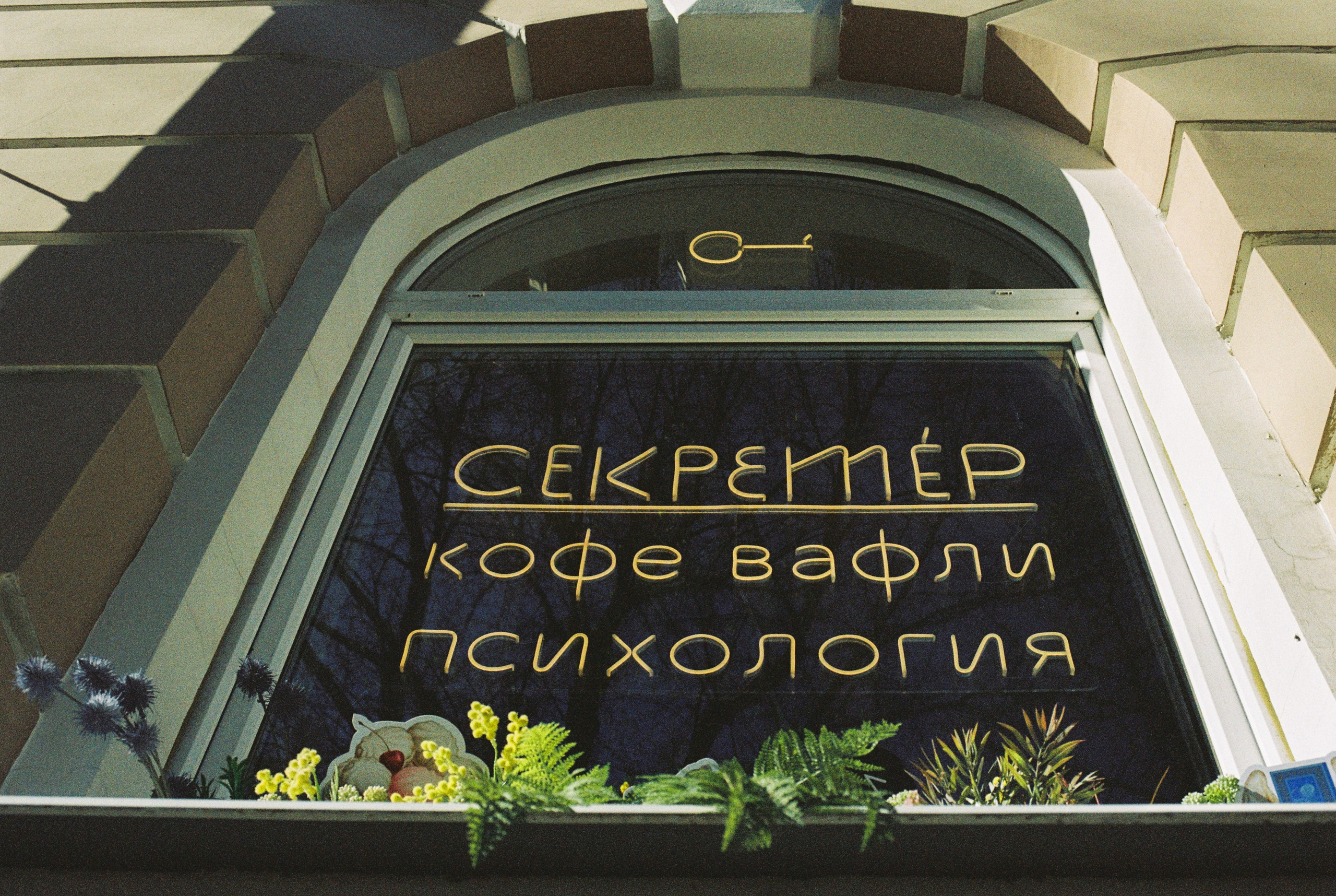 Плёночная весна 2025. Илья Михачёв Фотограф ПРО людей