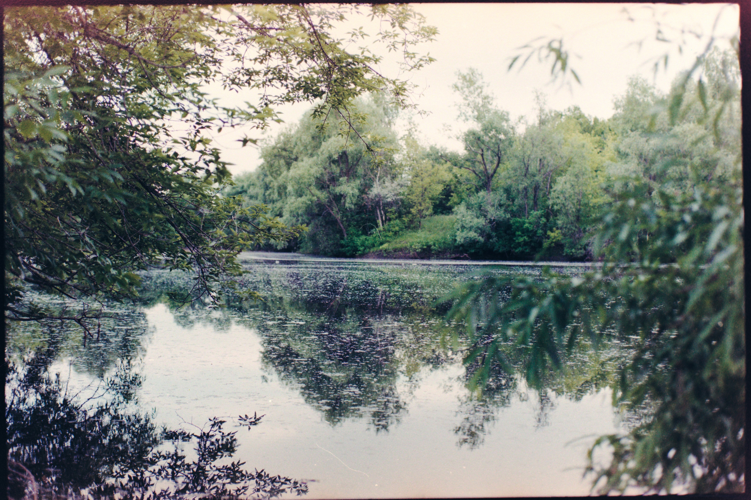 Пленочная история. Дмитрий Пропадалин, Нейрофотография