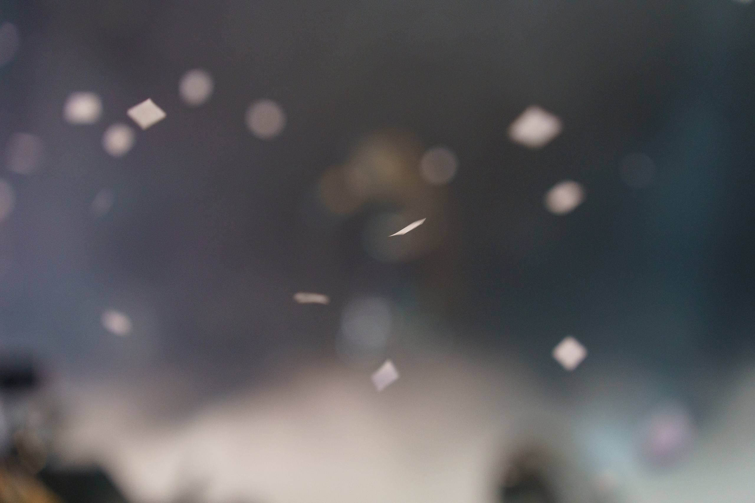 Концерт Bearwolf. Свадебный фотограф в Москве. Диана Грицай