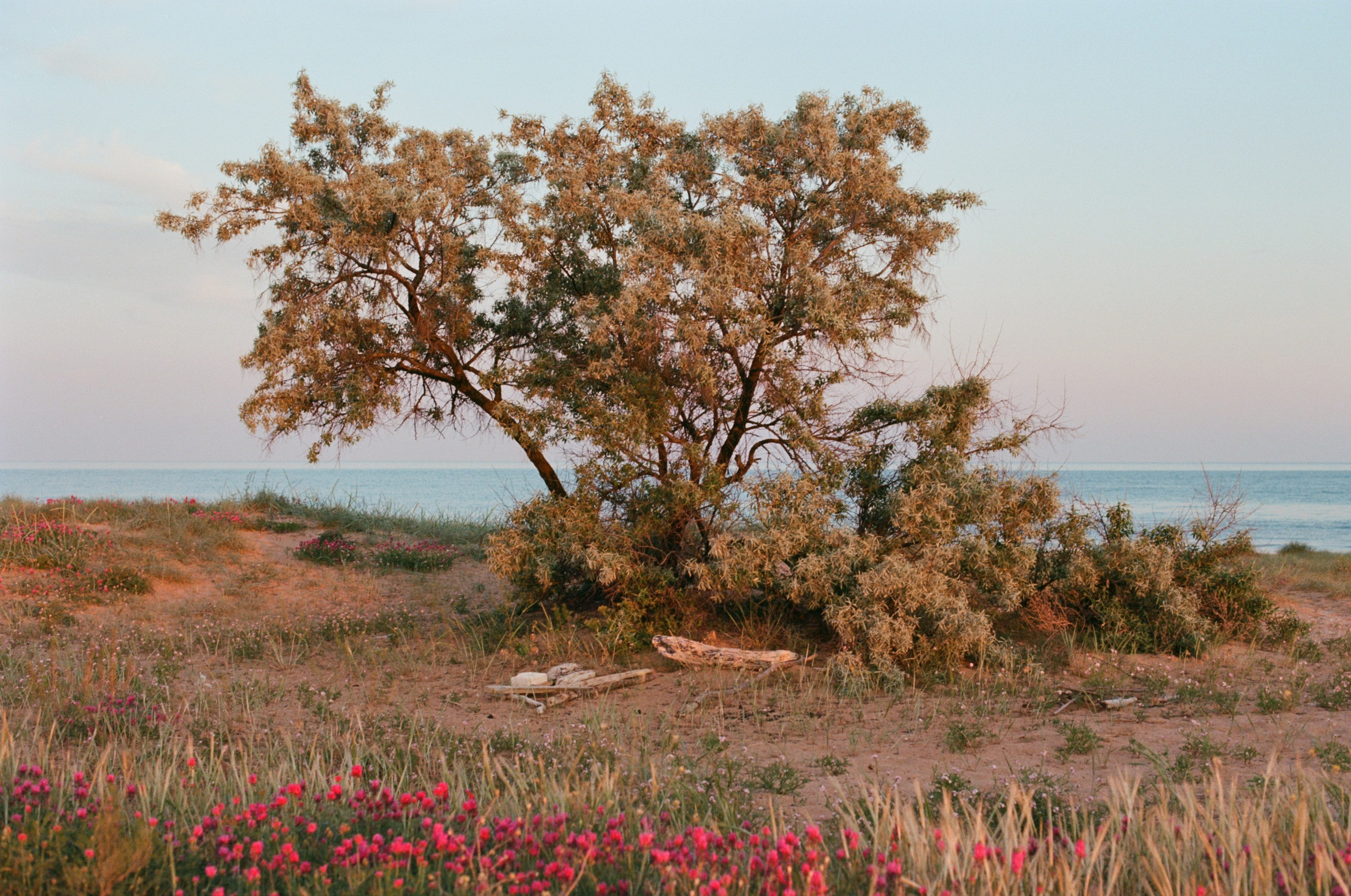 Champagne supernova // ukraine, crimea II. EVER EXPOSED