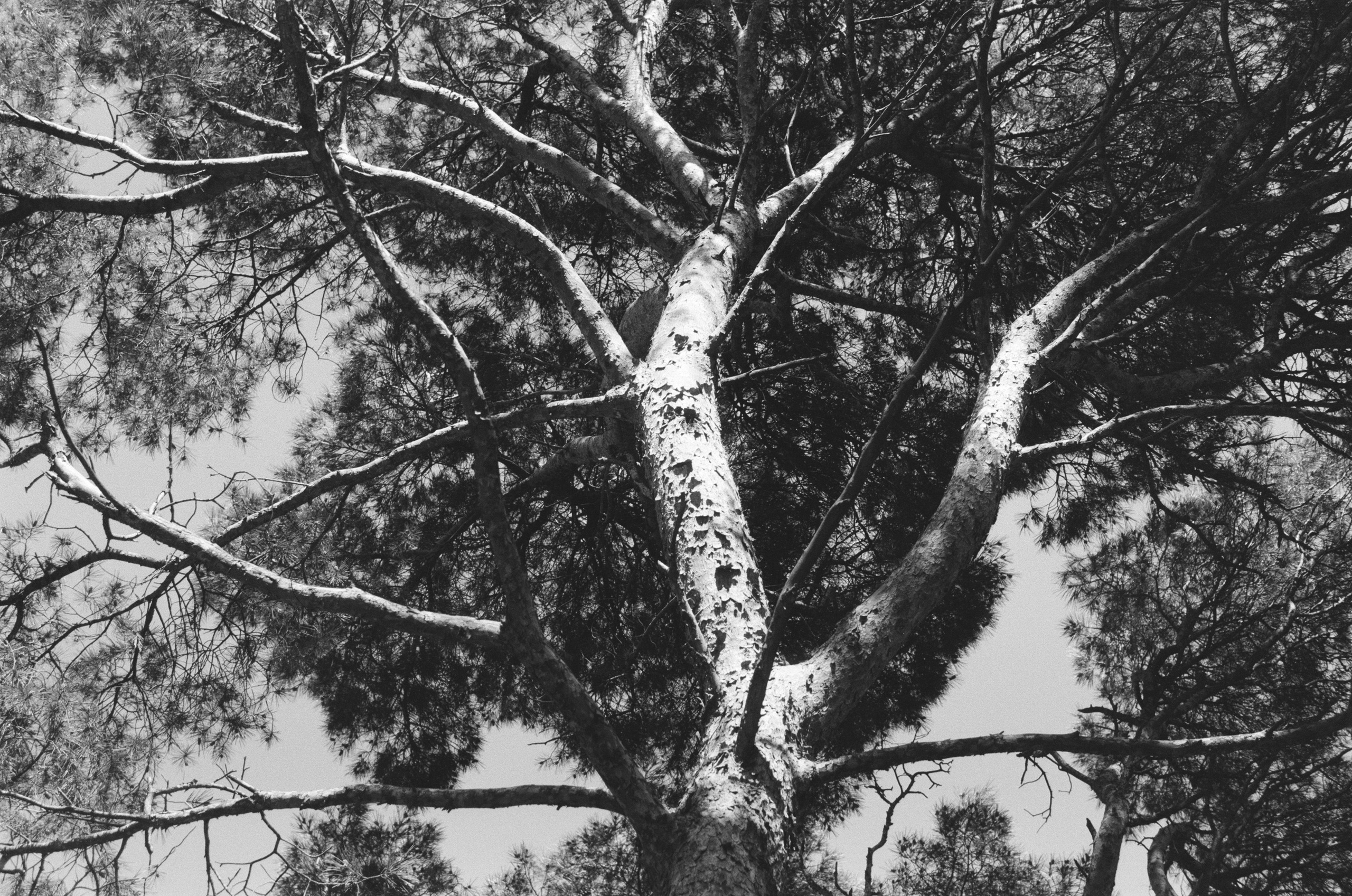 Plastinki // ukraine, crimea II. EVER EXPOSED