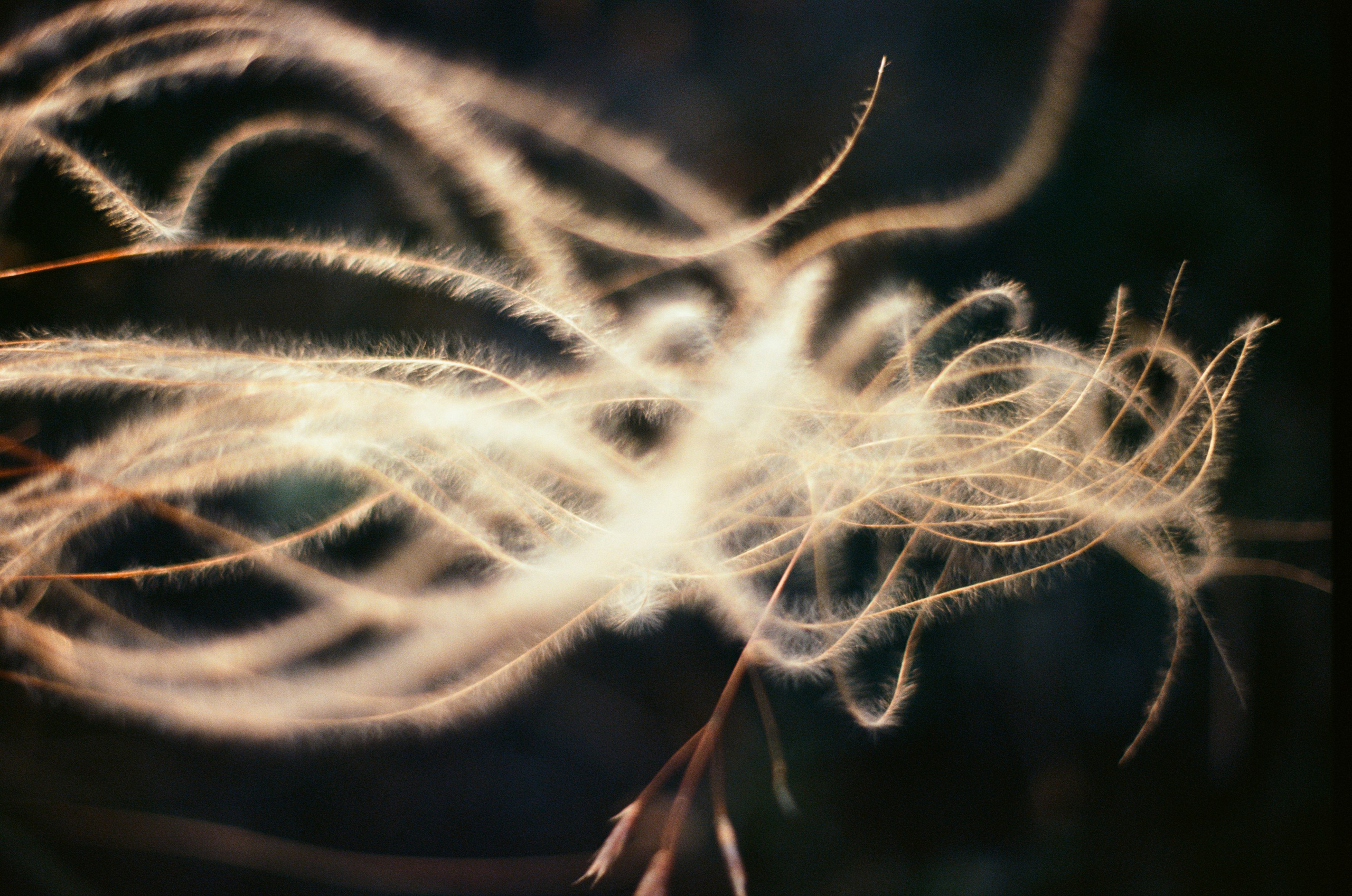 Point of no reply // ukraine, crimea X. EVER EXPOSED