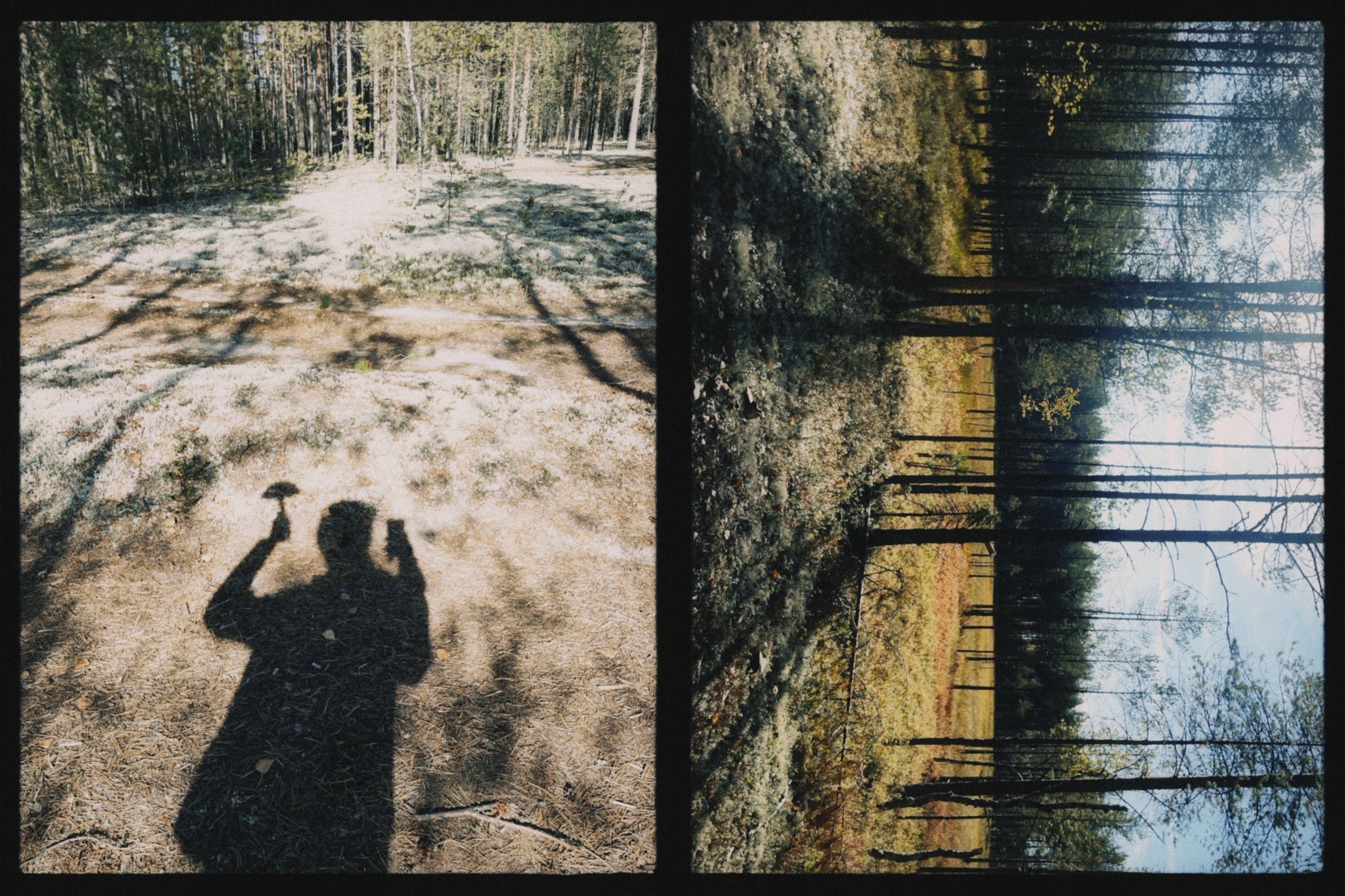 Фотоальбом: Алхимия Жизни. VITA · visual therapy arts