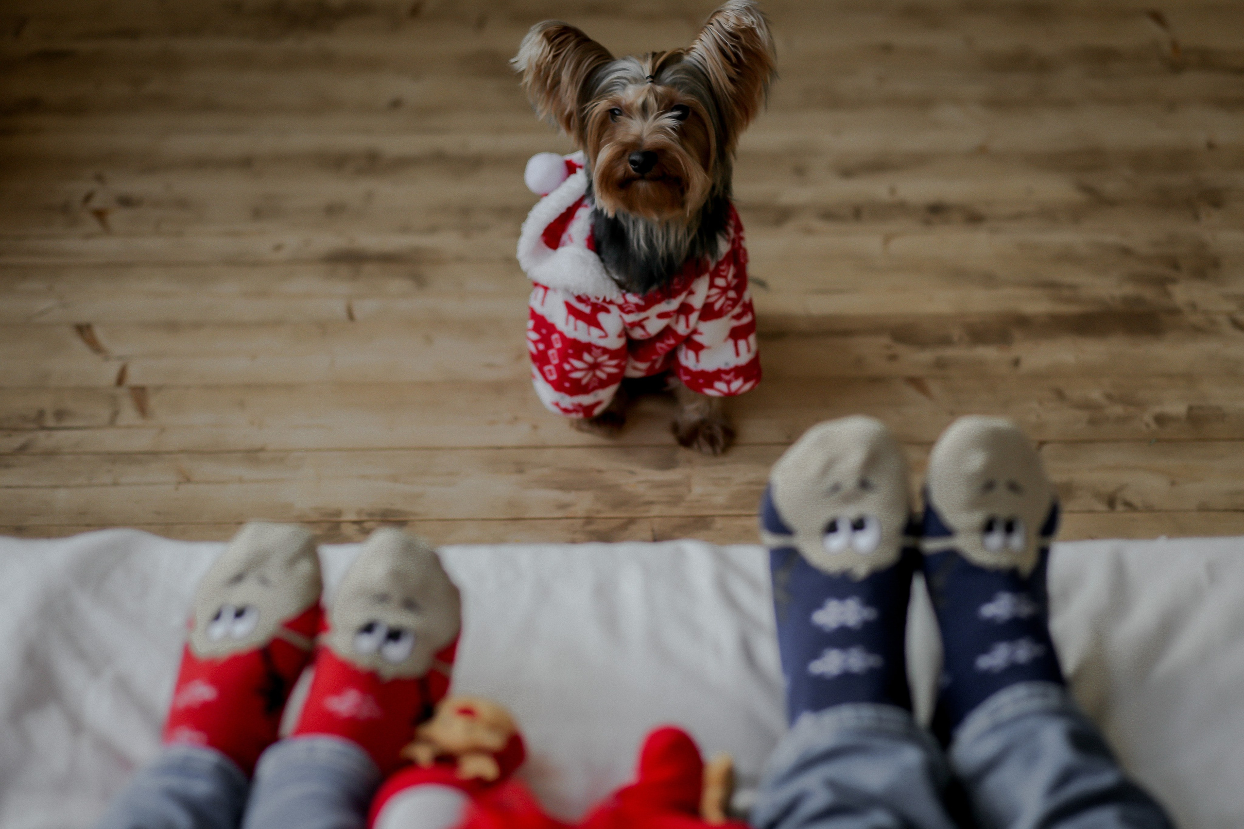 Новый Год. Фото и Видео в Краснодаре Verveyko Studio