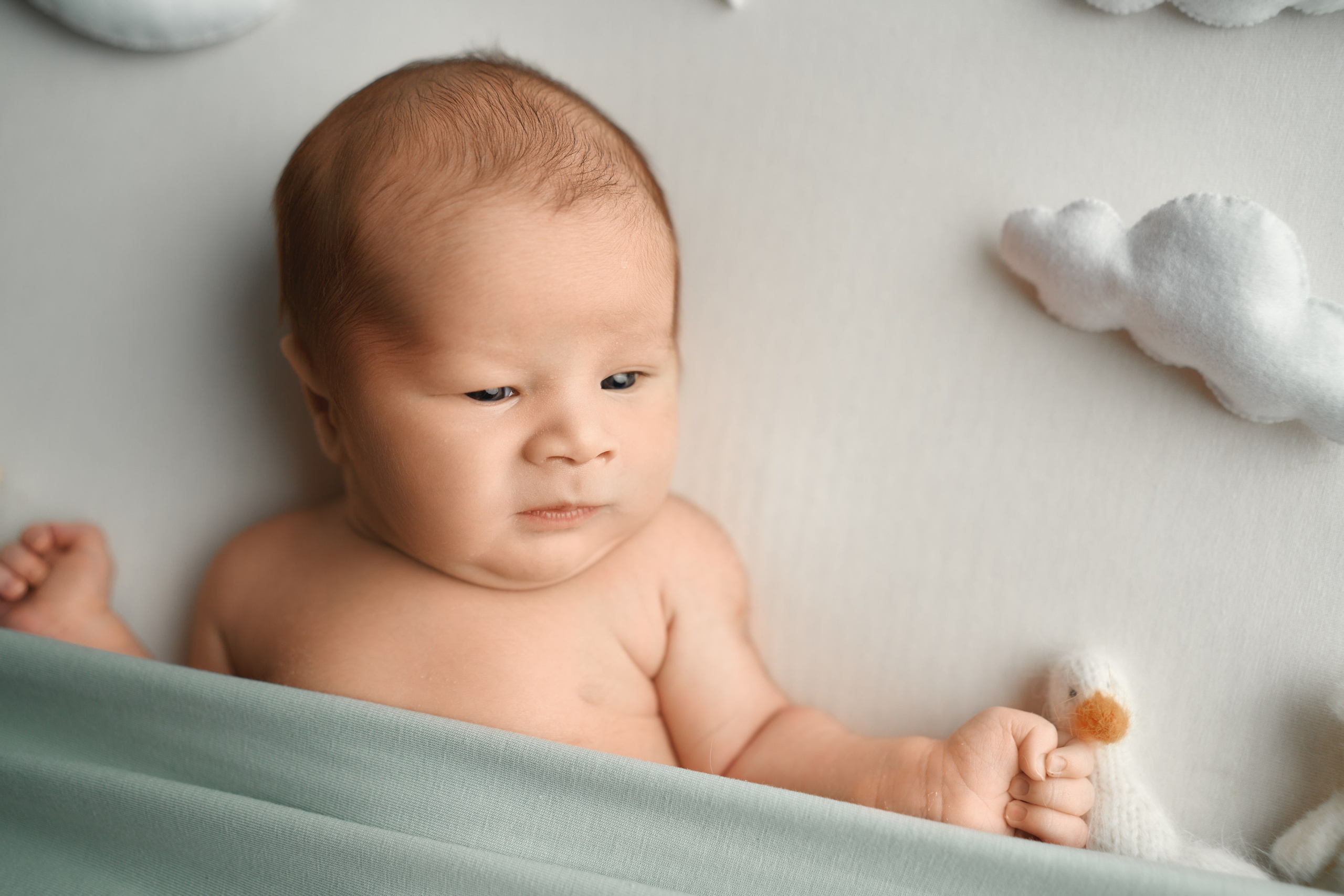 Захар. Фотограф новорожденных во Владивостоке Ромашко Виктория