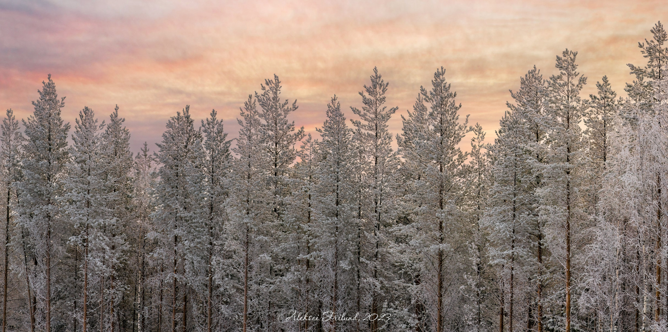 Природа Карелии. Аэросъемка. Фото и Видео в Карелии. Алексей Фрилунд