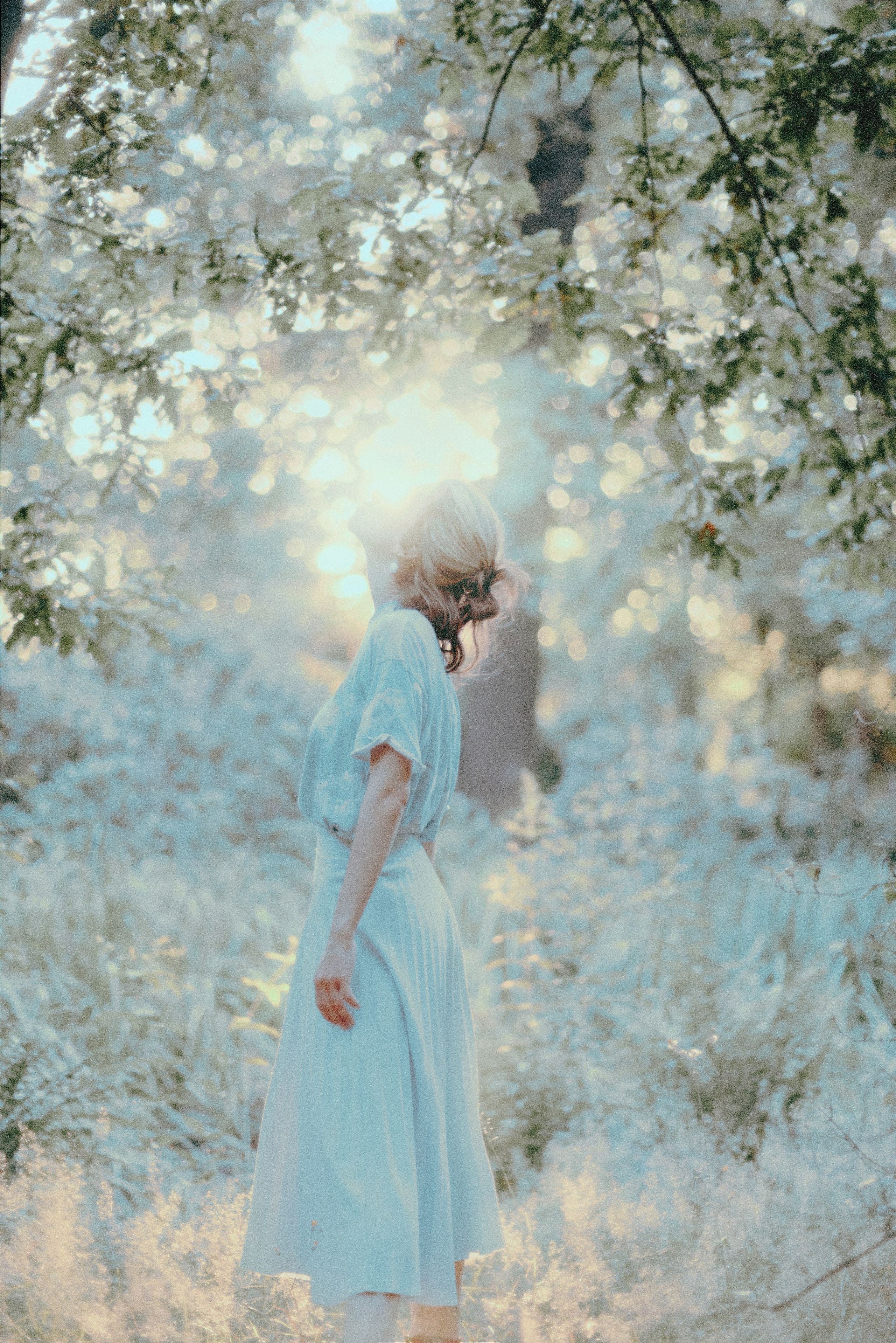 Нежный Вроцлав. Антон Арнольд | Фотограф Минск