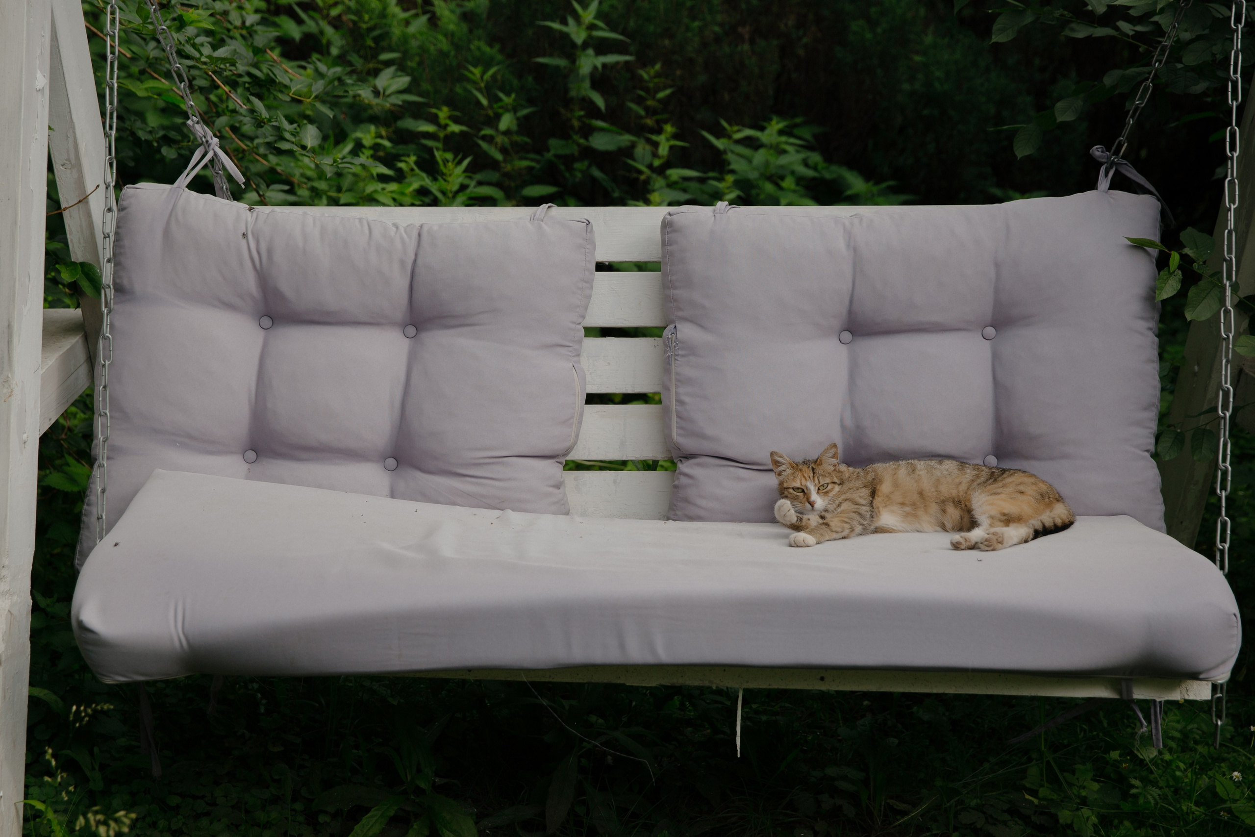 16.06.2024. RETOUCH-HOUSE