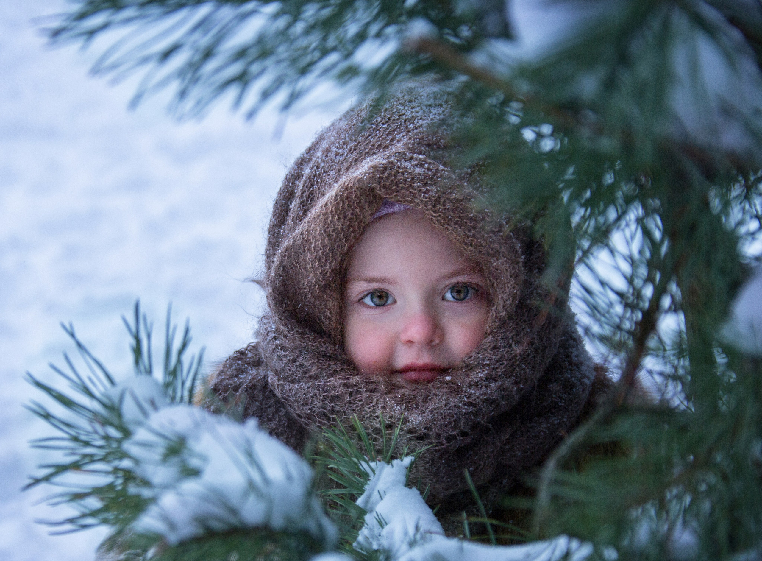 Портрет девочки в пуховом коричневом платке, которая сидит в ветвях зелёных сосен