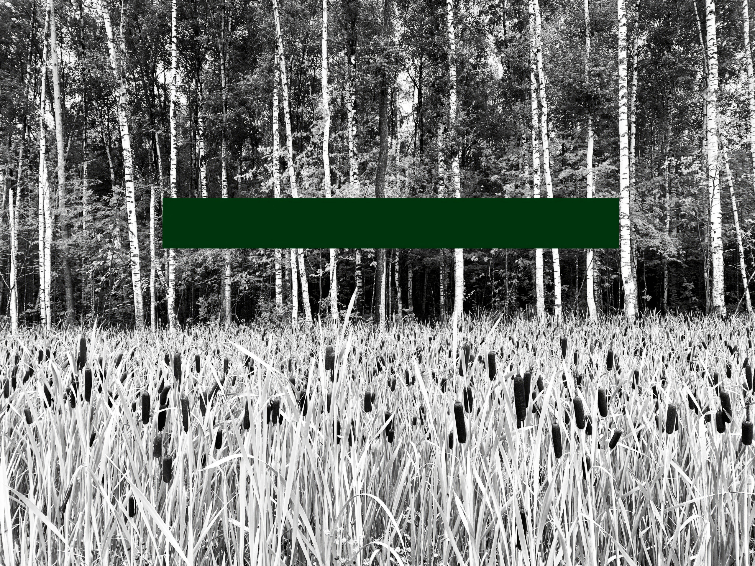 Испорченные фотографии — авторская серия Ма. Ма