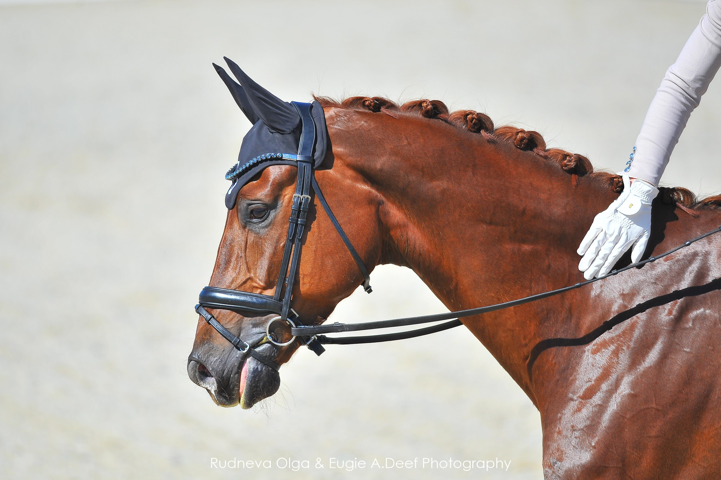 Кубок Истринского городского округа по выездке —18 мая 2024. ТУРНИРНАЯ КОННАЯ ФОТОГРАФИЯ, Руднева Ольга и Евгений Адеев