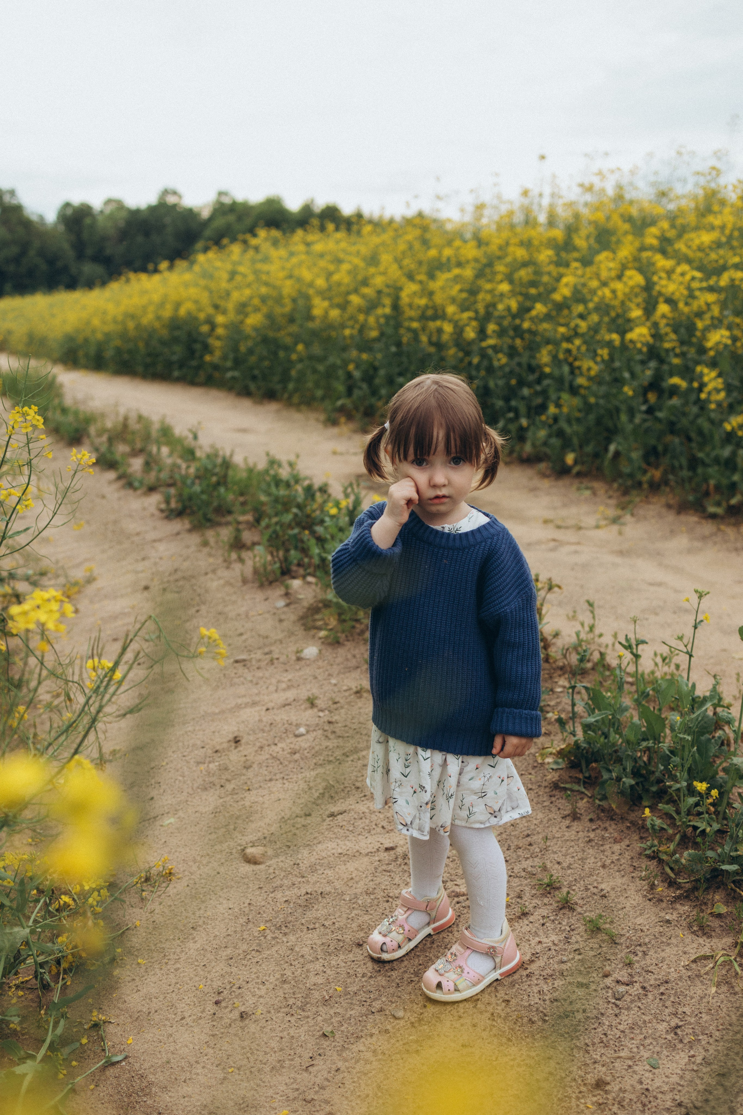 После дождя. Фотограф Елена Рябцева