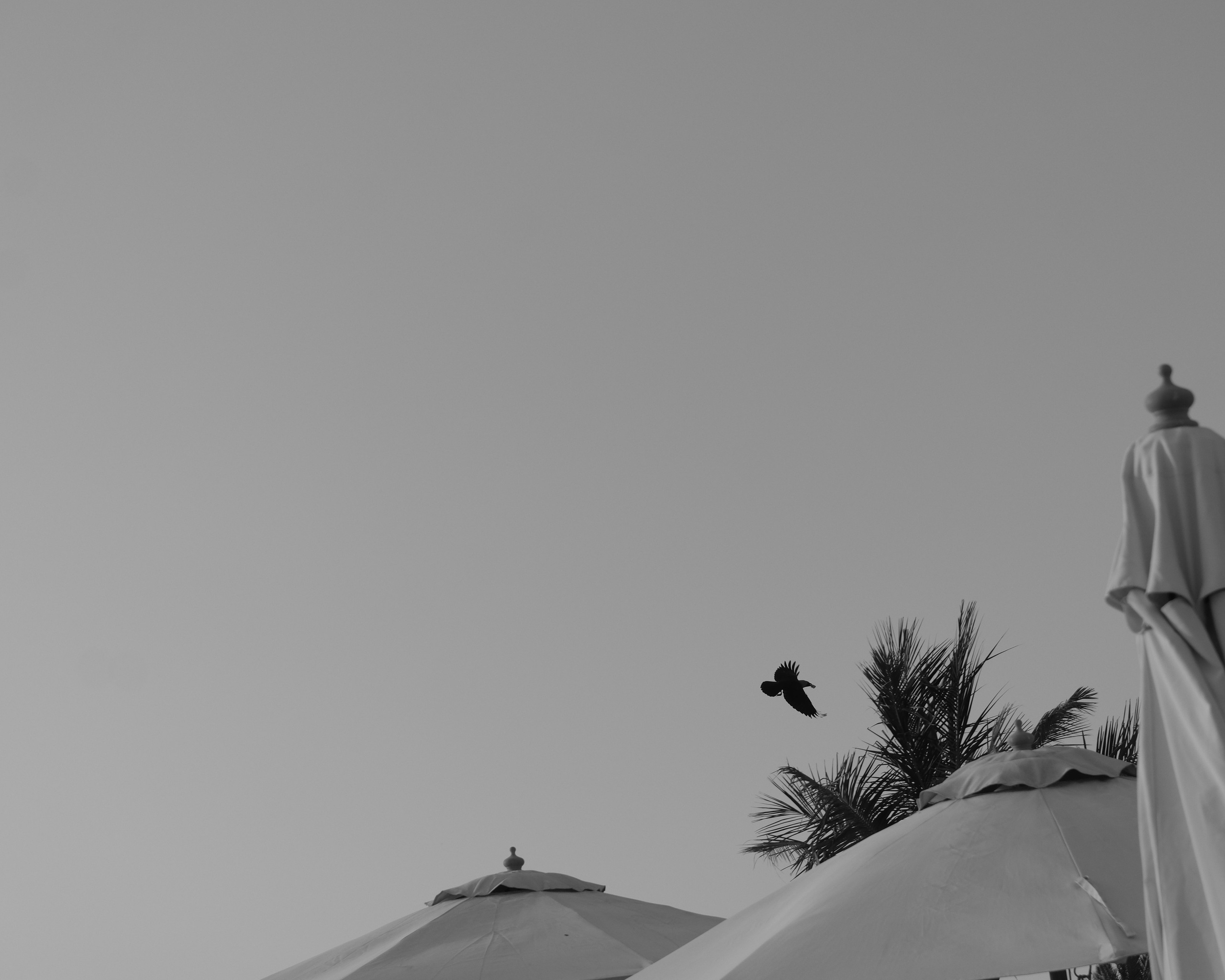 Фотограф Москва. Фотограф и художник в Москве Евгения Нюнина