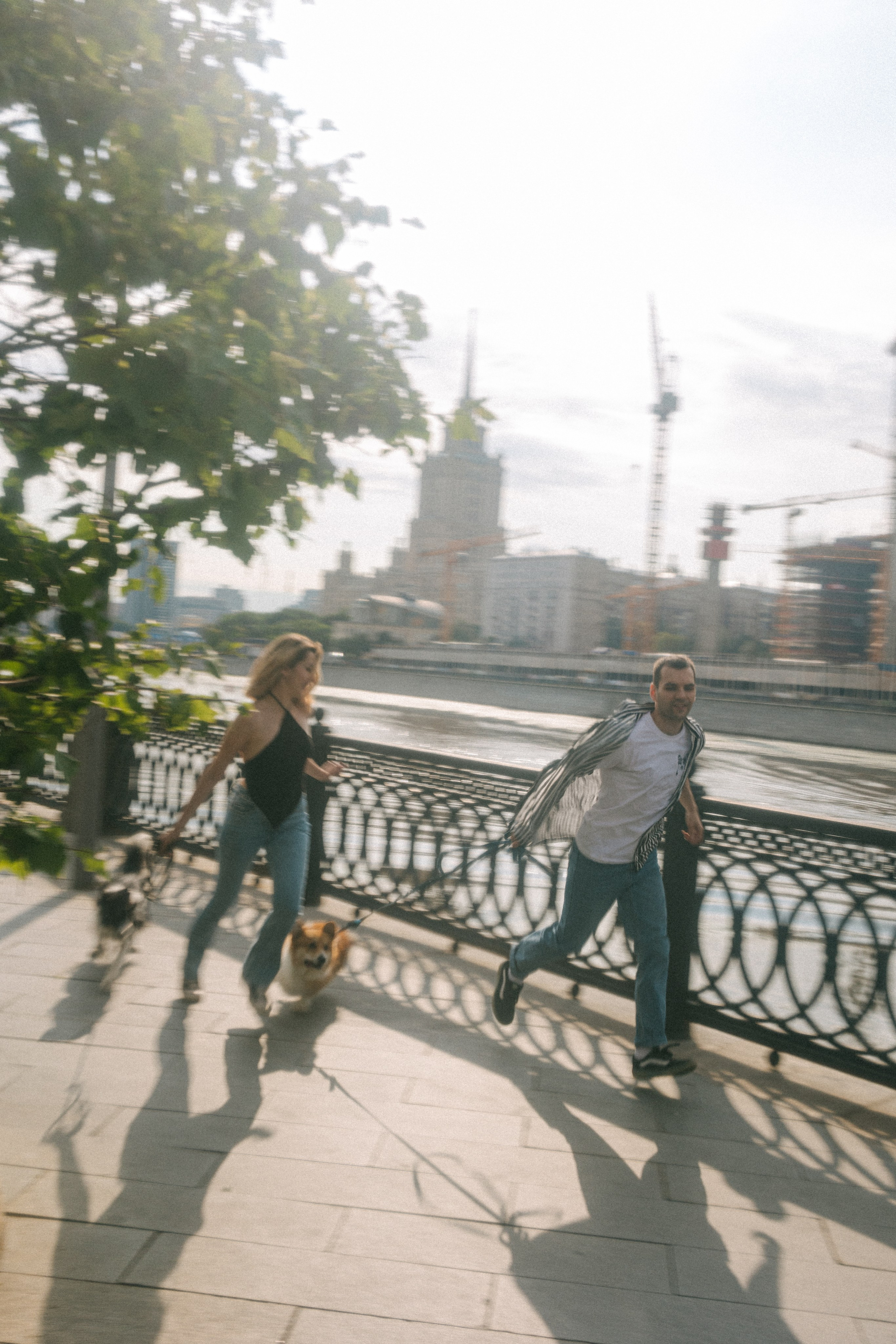 Брюс, Вейв и их ро. Фотораф — анималист Мария Шистка