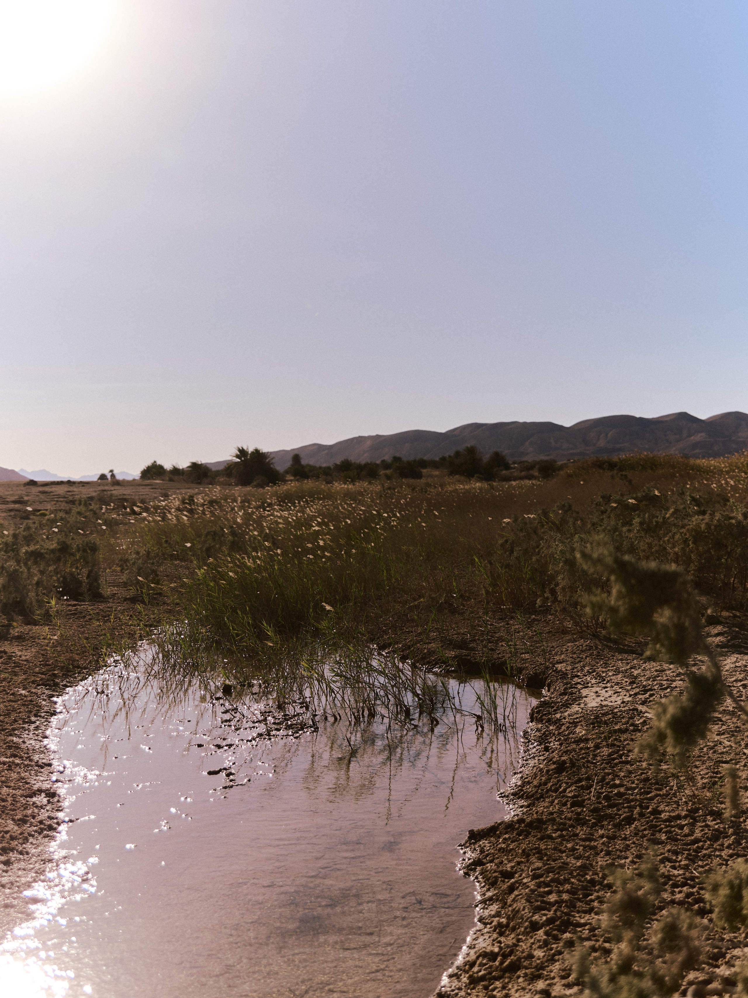 Природа. Jorgis Talè — photographer, kind person, teacher of arts and other mag